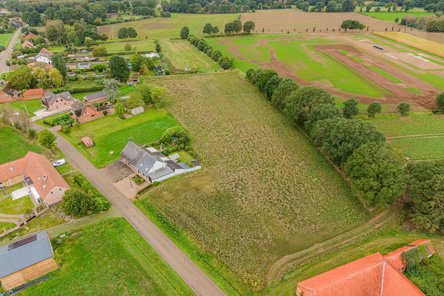 Ruime gezinswoning met 4 slaapkamers op uitzonderlijk perceel van 1,32 ha in Meerhout foto 34