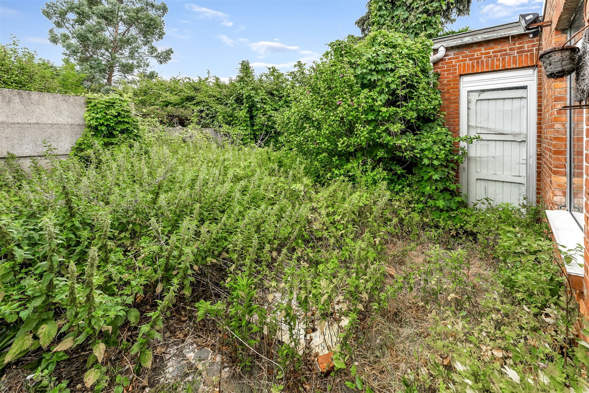 CENTRAAL GELEGEN, RUIM HANDELSPAND MET WOONST (415M²) TE BALEN foto 28