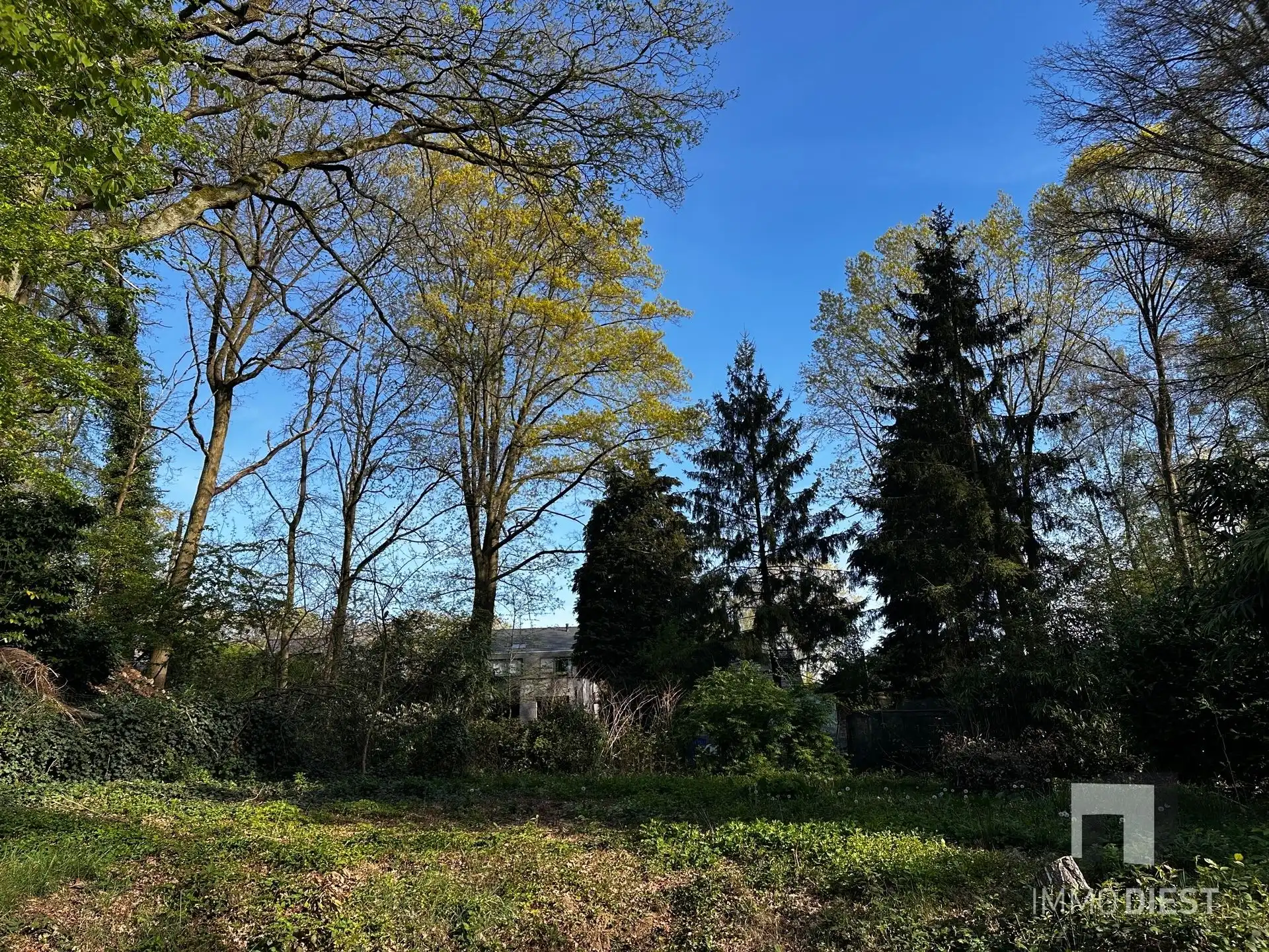 Te renoveren woning met 4 slaapkamers op Schellekensberg foto 25