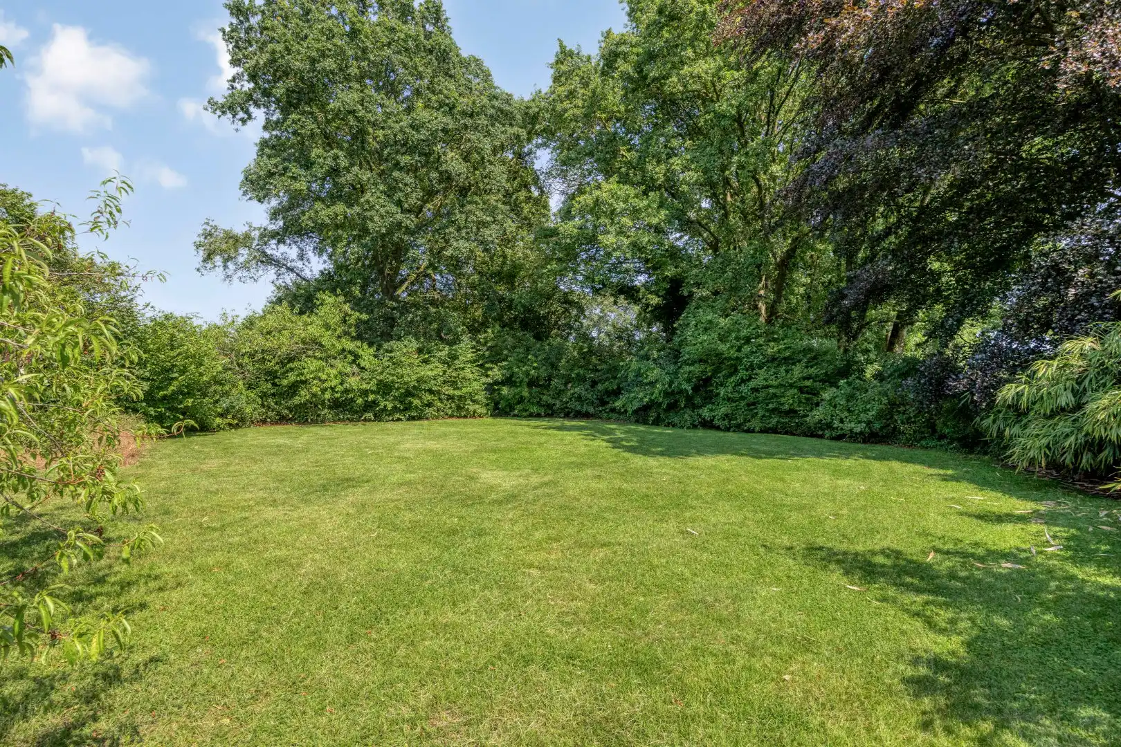 Ruime te renoveren woning met uitbreidingspotentieel en zonnig perceel van 1.738 m² !  foto 28