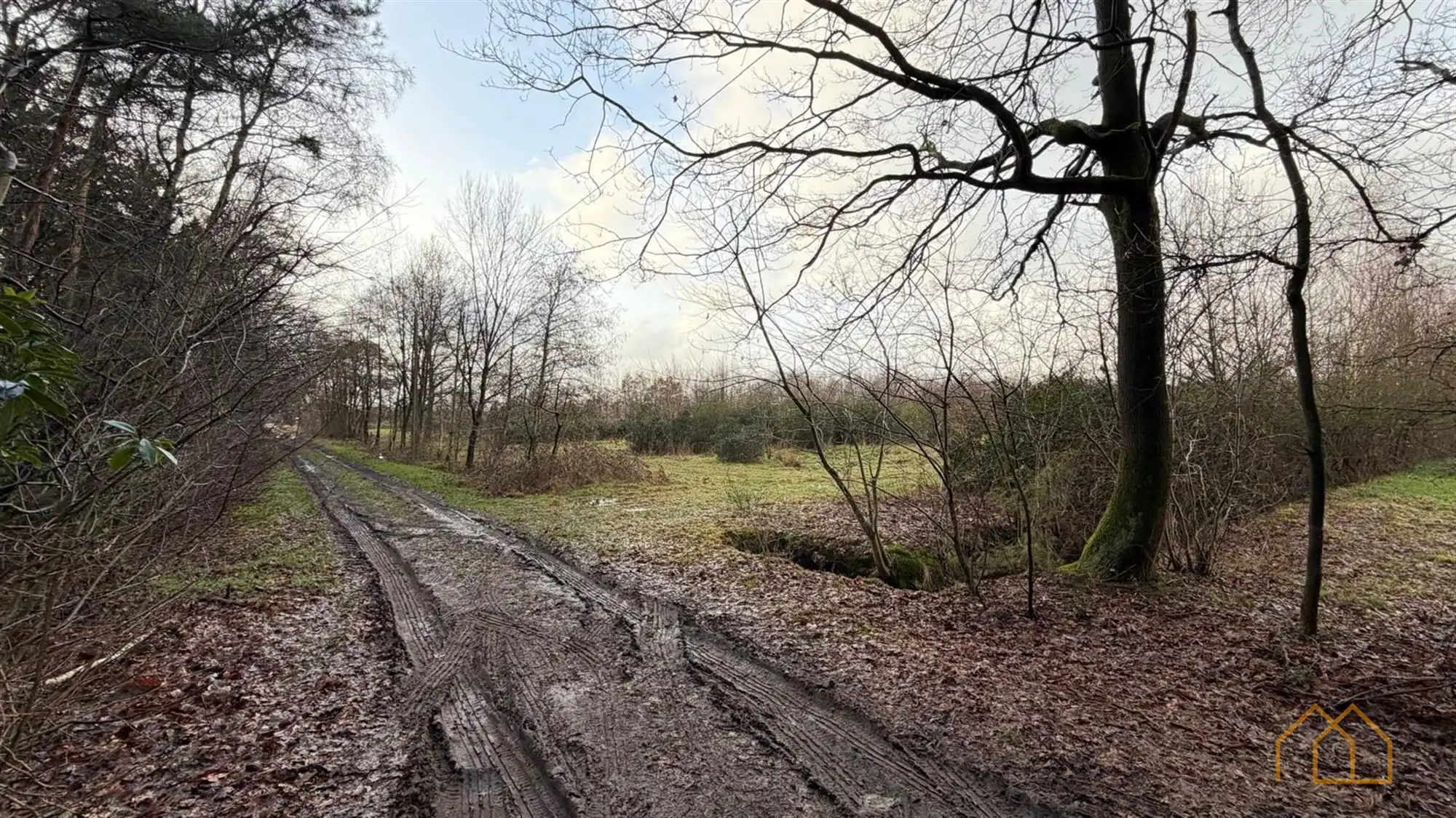 Landbouwgrond van 8600m² in Ten Aard foto 3