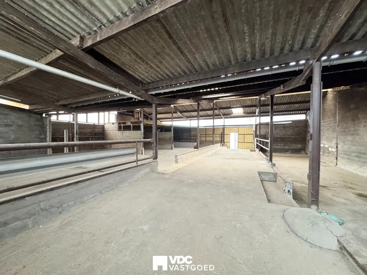 Voormalige boerderij met loods en veestal op perceel van 6.920 m² – volledig te renoveren foto 9