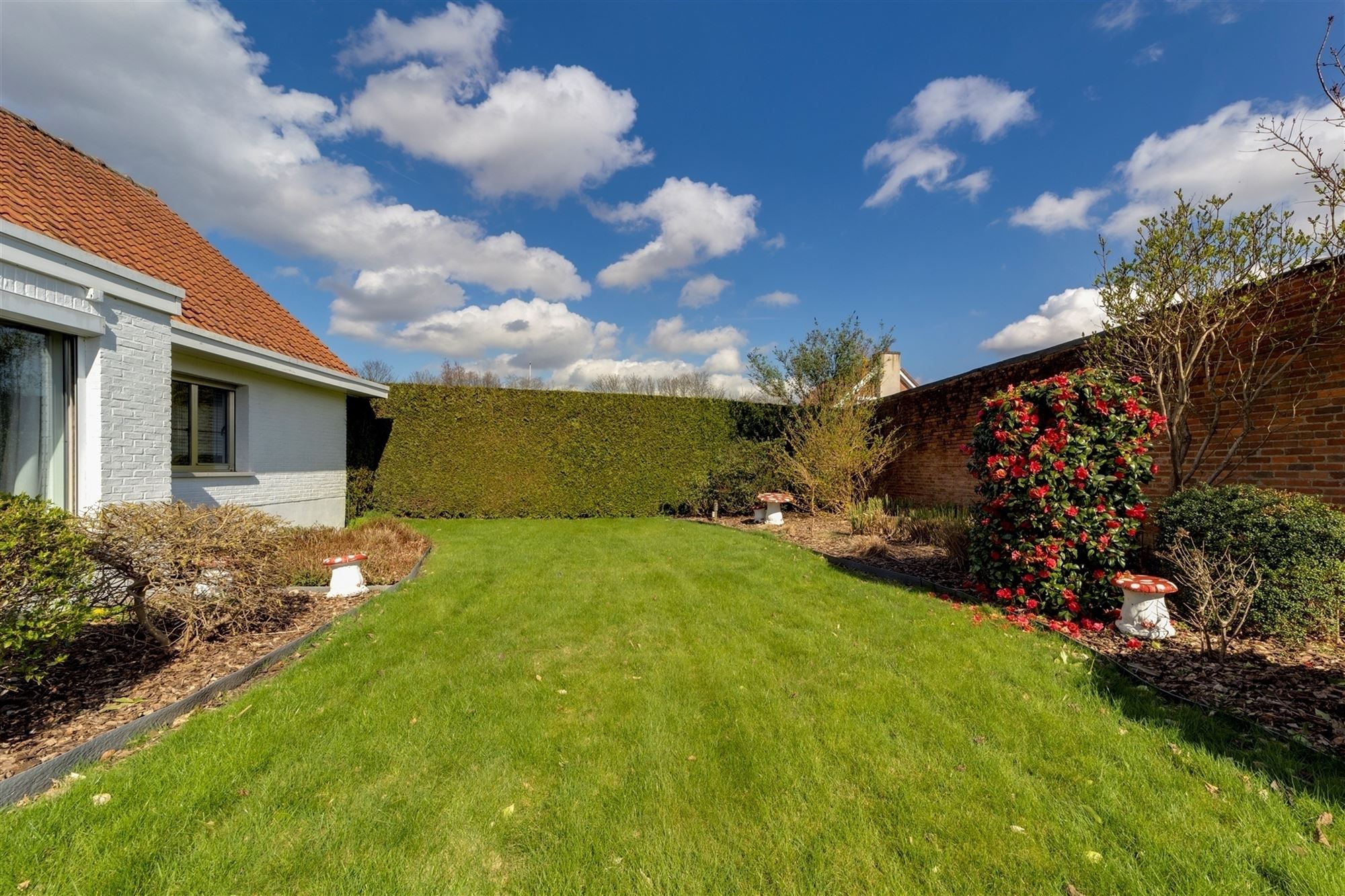 Woning met magazijn (649m²) op 2.749m² in Wommelgem foto 49