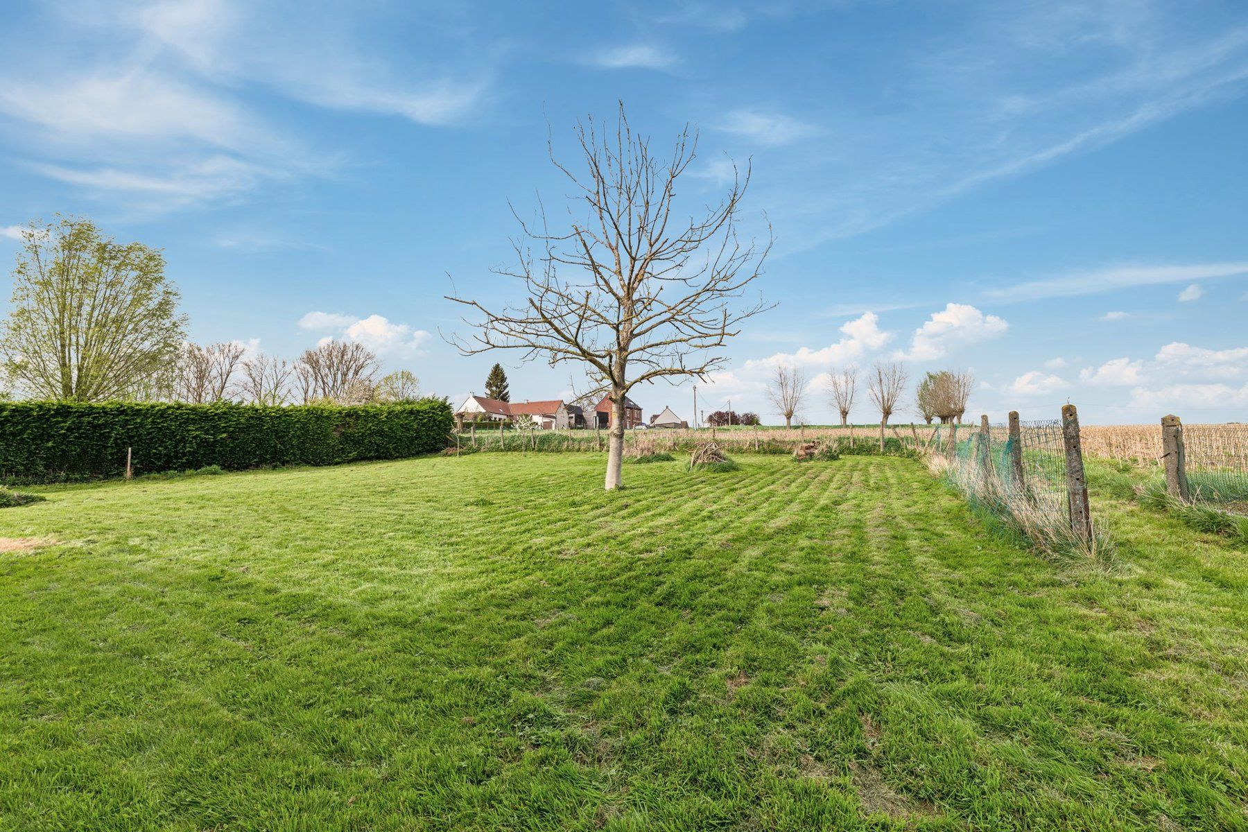 Landelijk gelegen bouwgrond voor OB foto 6