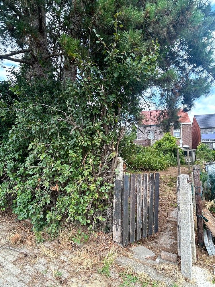 Te renoveren woning met veel potentieel in Wijgmaal foto 18