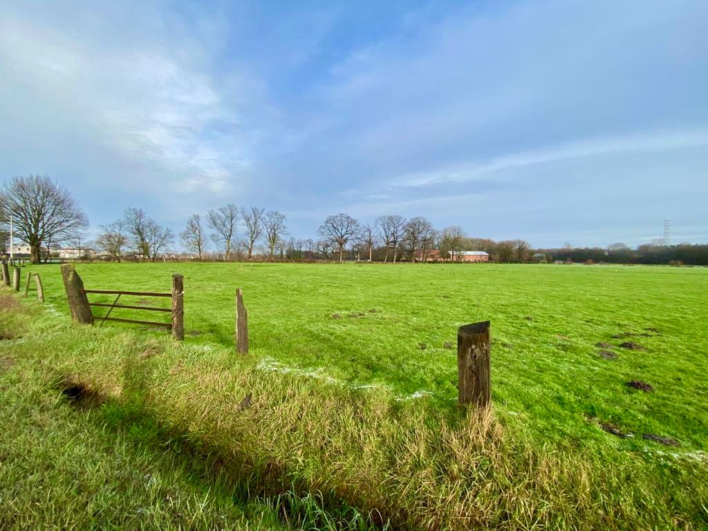 Ruim perceel grond van 15.660m² gelegen in recreatiegebied met diverse mogelijkheden foto 5