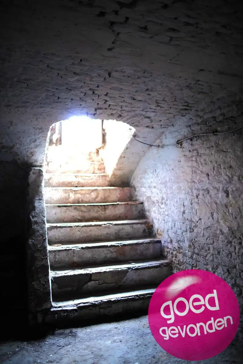 Authentieke begijnenwoning + bouwperceel met 6 garageboxen foto 23