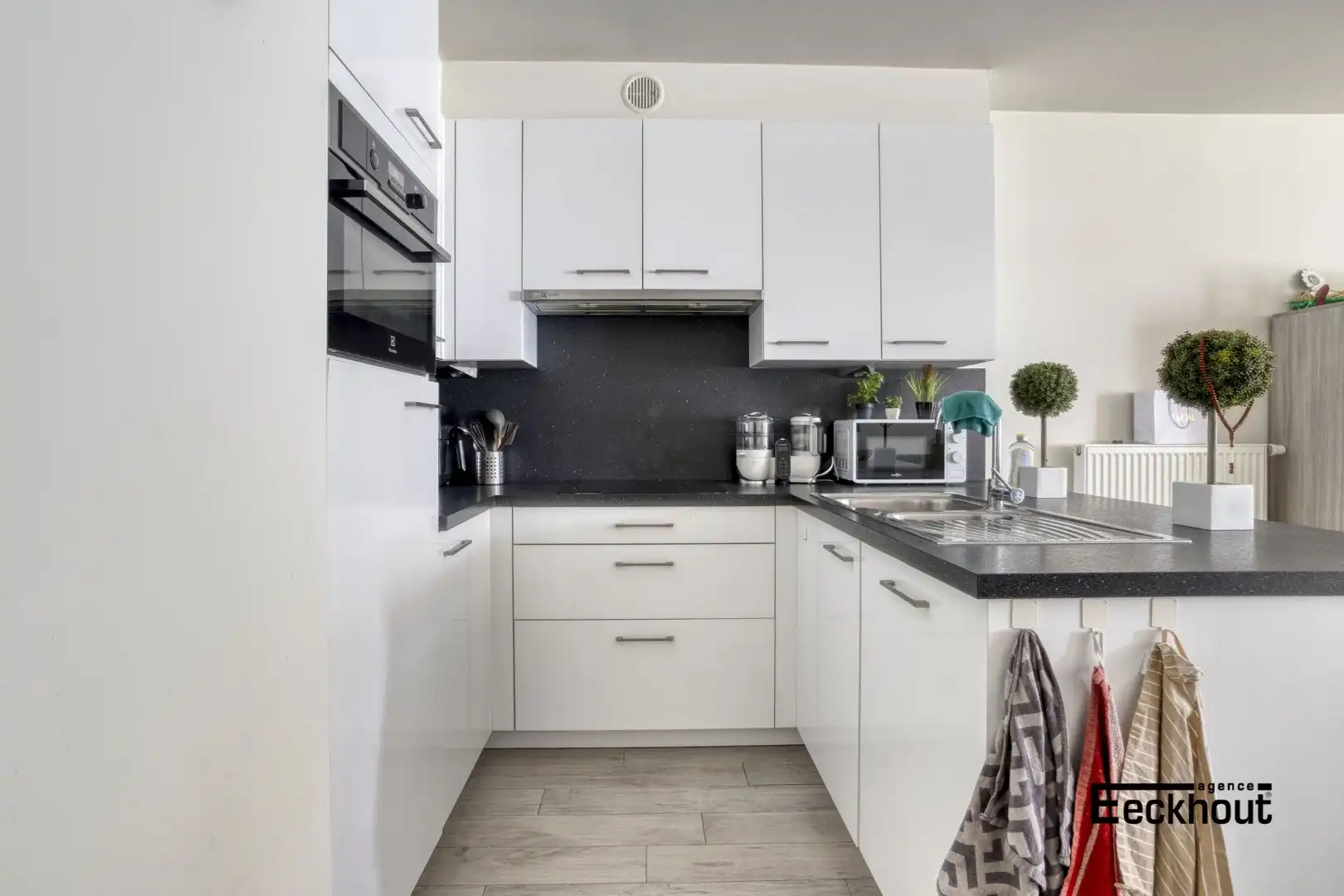 Recent 2-slaapkamerappartement met zonneterras en mooi zicht op de spuikom! foto 6