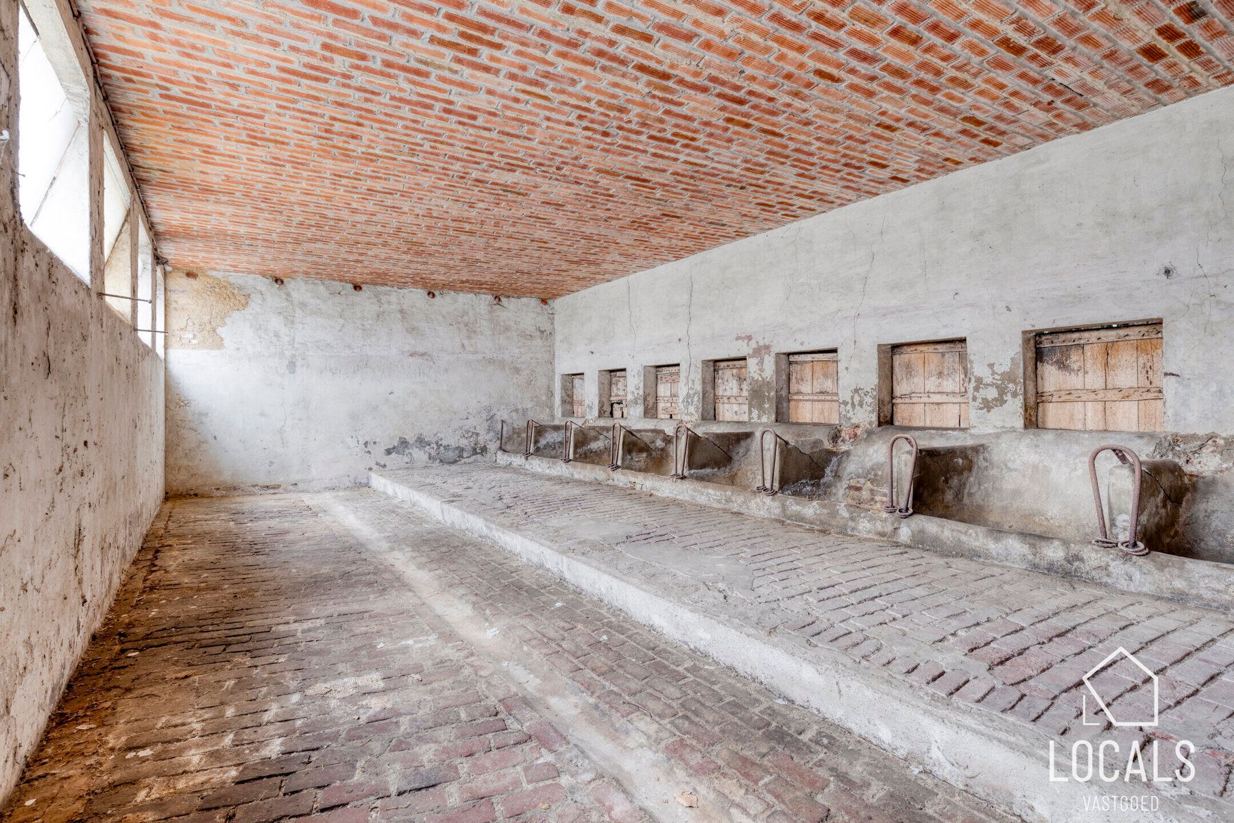 Rustig gelegen hoeve met bijgebouwen en veel potentieel foto 3