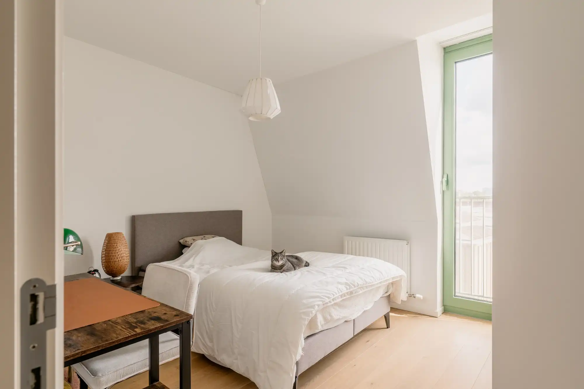 Hedendaagse architectuur ontmoet historisch Zurenborg in project Belle Epoque. foto 15
