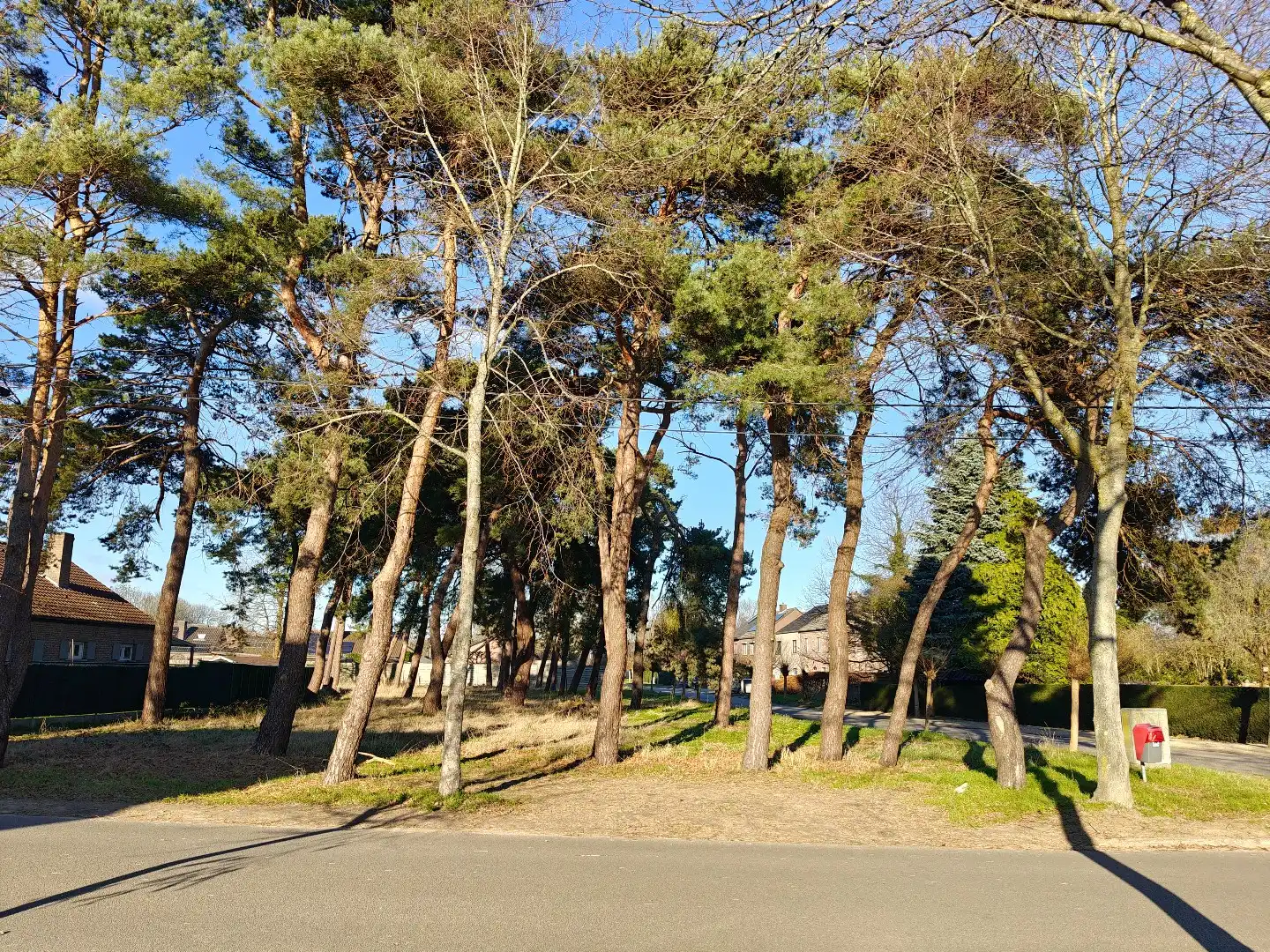 Prachtige bouwgrond van 13a37ca voor een mooie open bebouwing !  foto 3