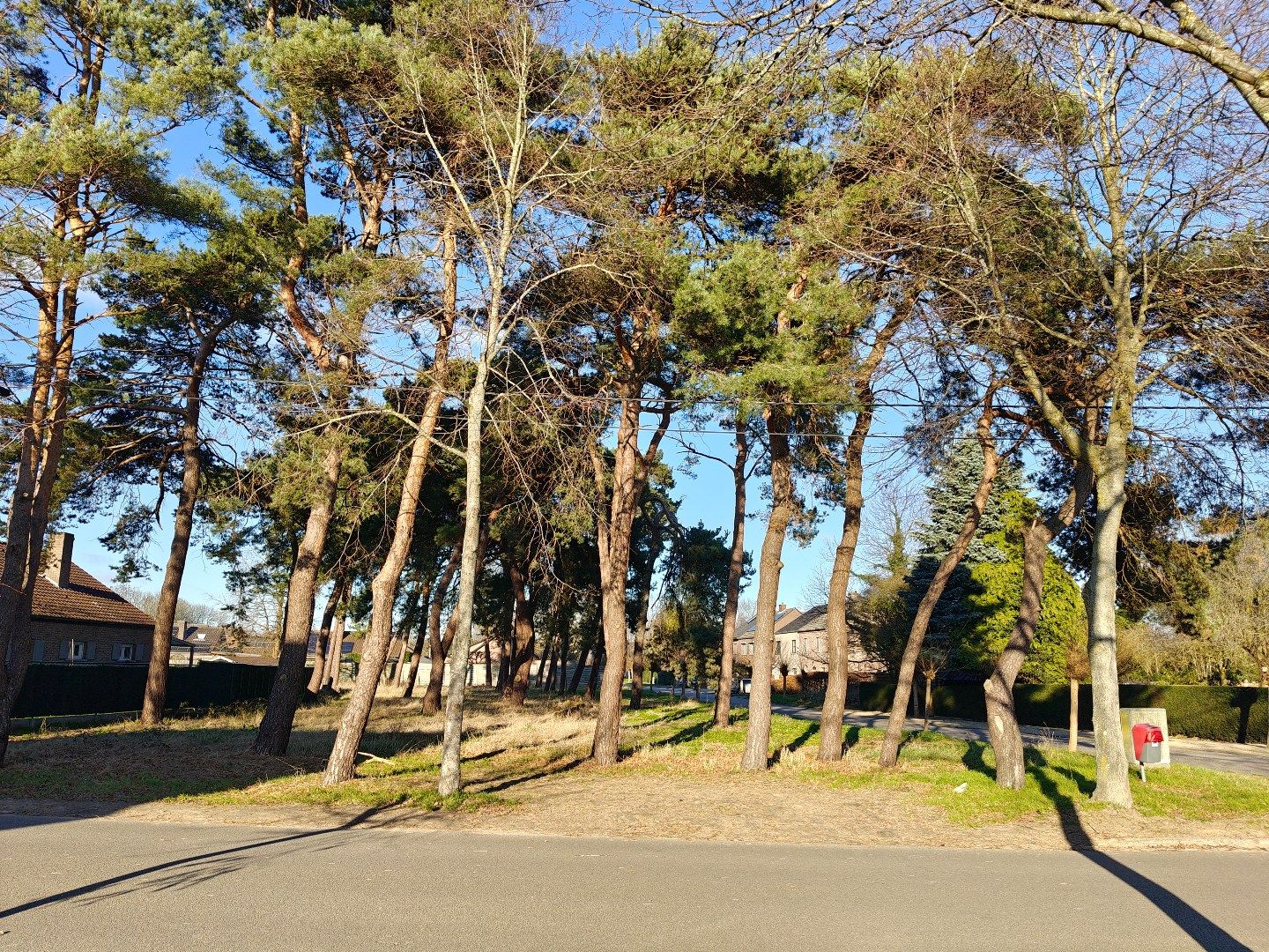 Prachtige bouwgrond van 13a37ca voor een mooie open bebouwing !  foto 3