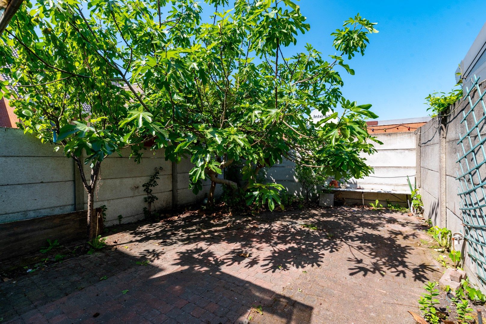 Te renoveren woning op centrale locatie te Hoboken foto 4