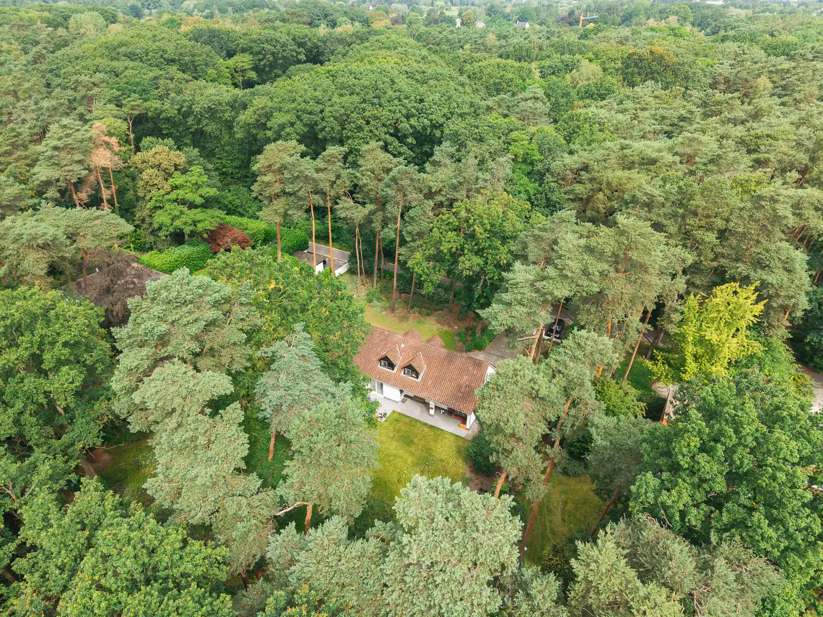 Klassevolle, instapklare villa op ruim perceel te Bonheiden foto 3