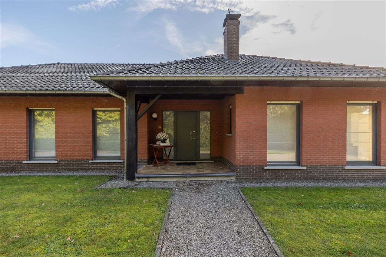 verborgen parel in het groen foto 11