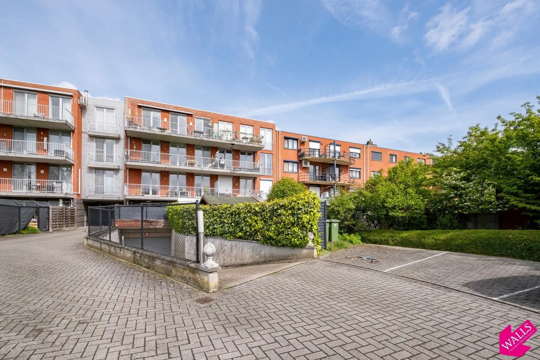 Te koop: kelderberging foto 5