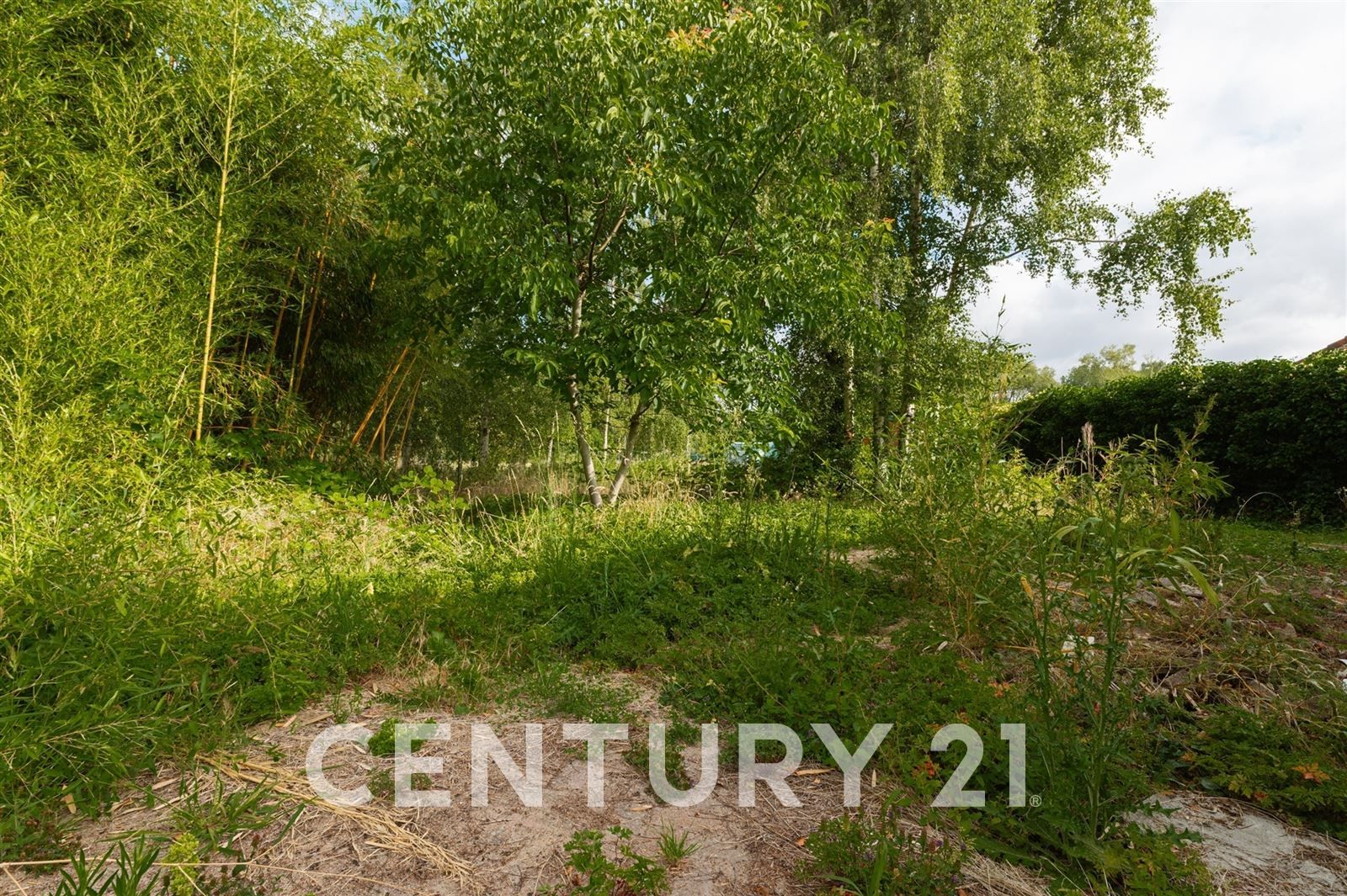 Bouwgrond open bebouwing op 11are18 (ZW) foto 3