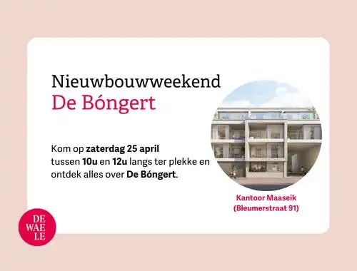De Bóngert foto 2