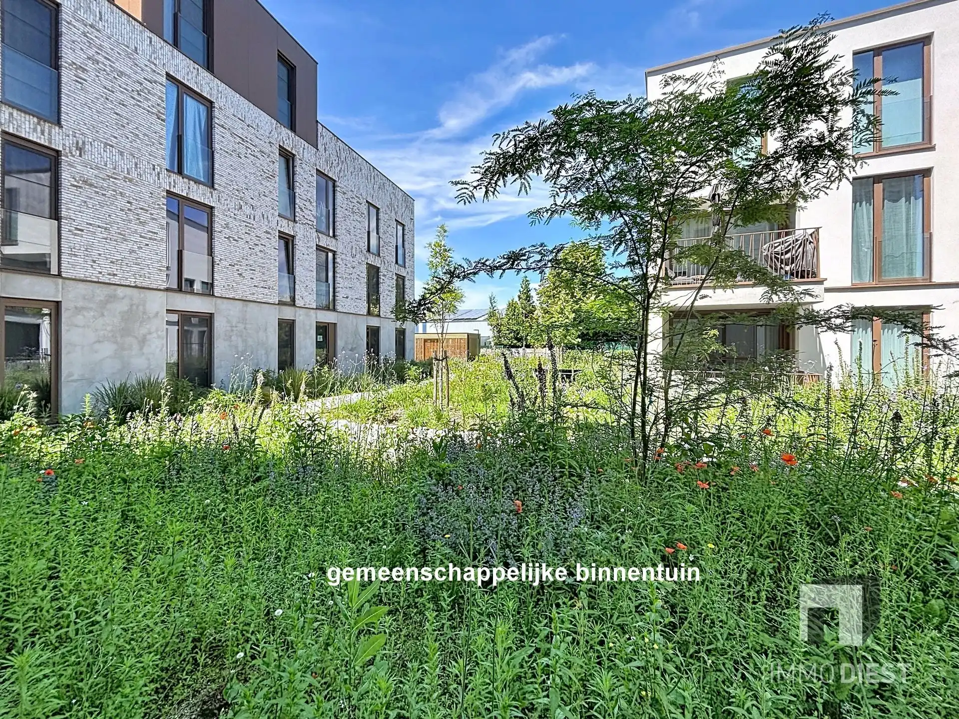 Gelijkvloers appartement met 2 slaapkamers. foto 27