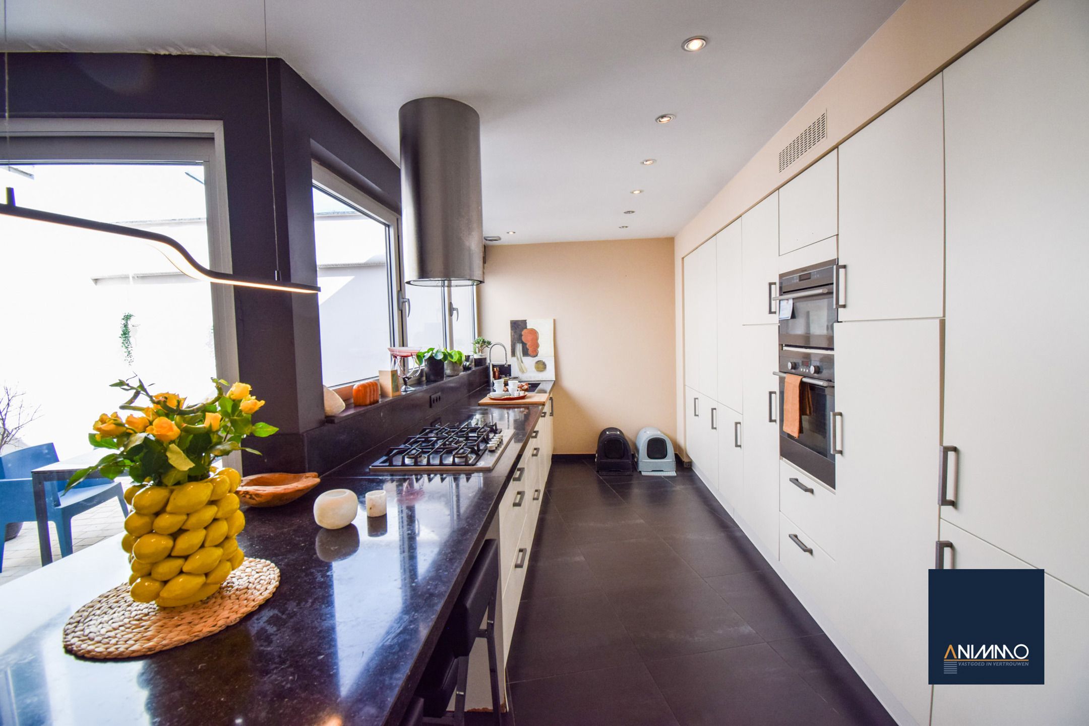 Huis te koop foto 10