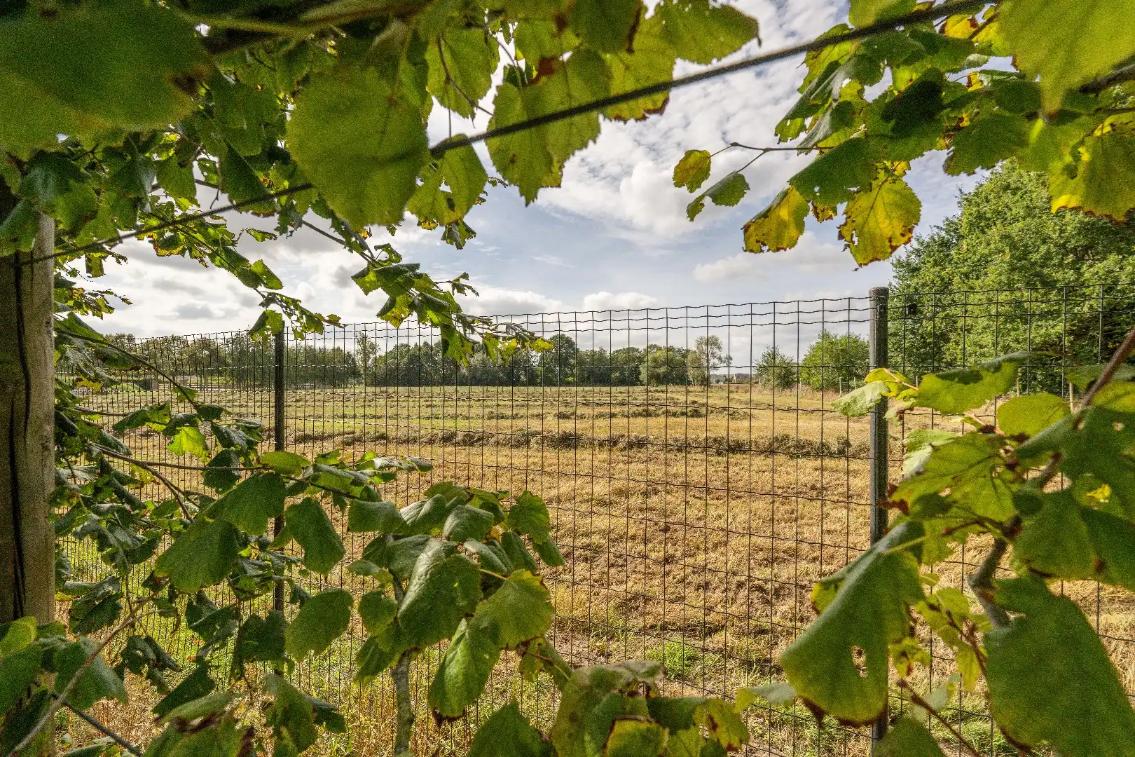 CASCO WONING MET 4 SLAAPKAMERS OP 1.544 m² IN KRUISEM foto 18