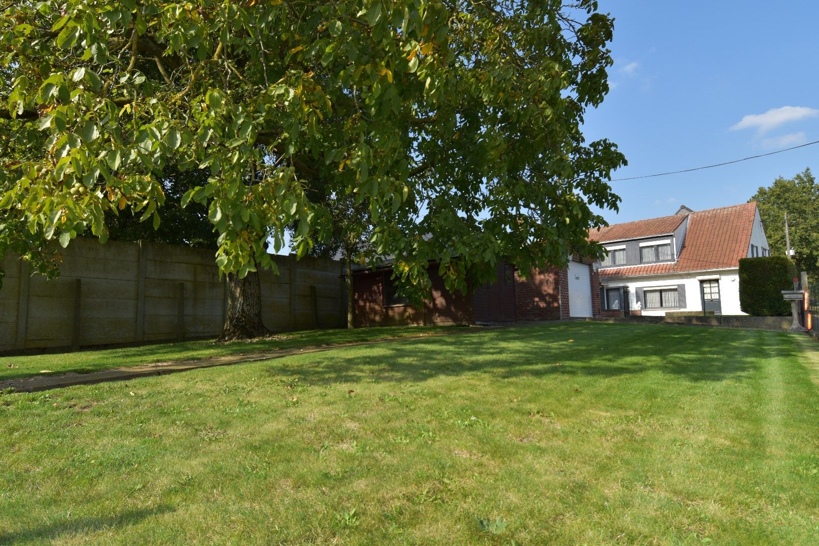 Halfopen bebouwing met 3 slaapkamers, garage en zuidgerichte tuin te koop in Rollegem foto 3