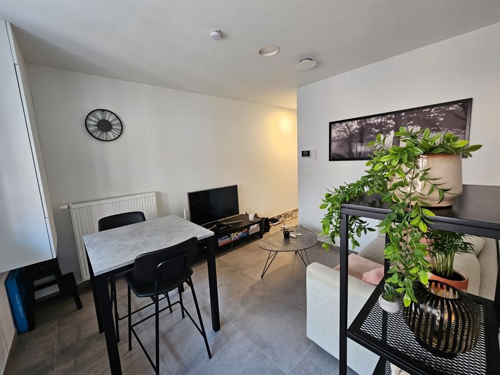 appartement foto 5