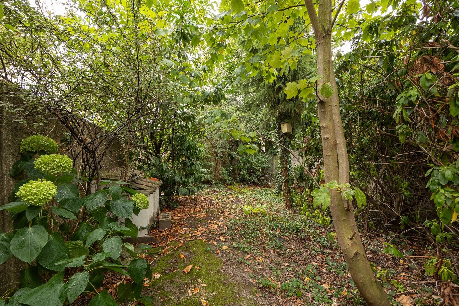 Gelijkvloerse instapklare duplex met tuin en mogelijkheid tot Praktijkruimte in Borgerhout Extra Muros foto 25