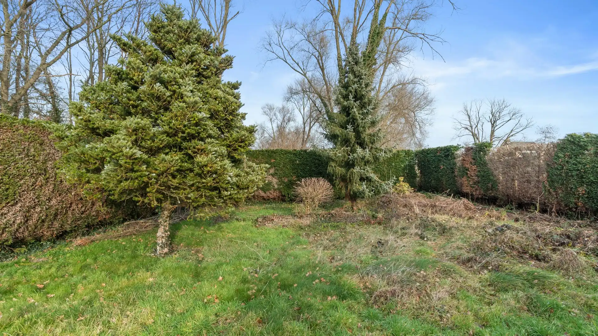 Instapklare open bebouwing op 11a 69ca te Dilsen Stokkem foto 20