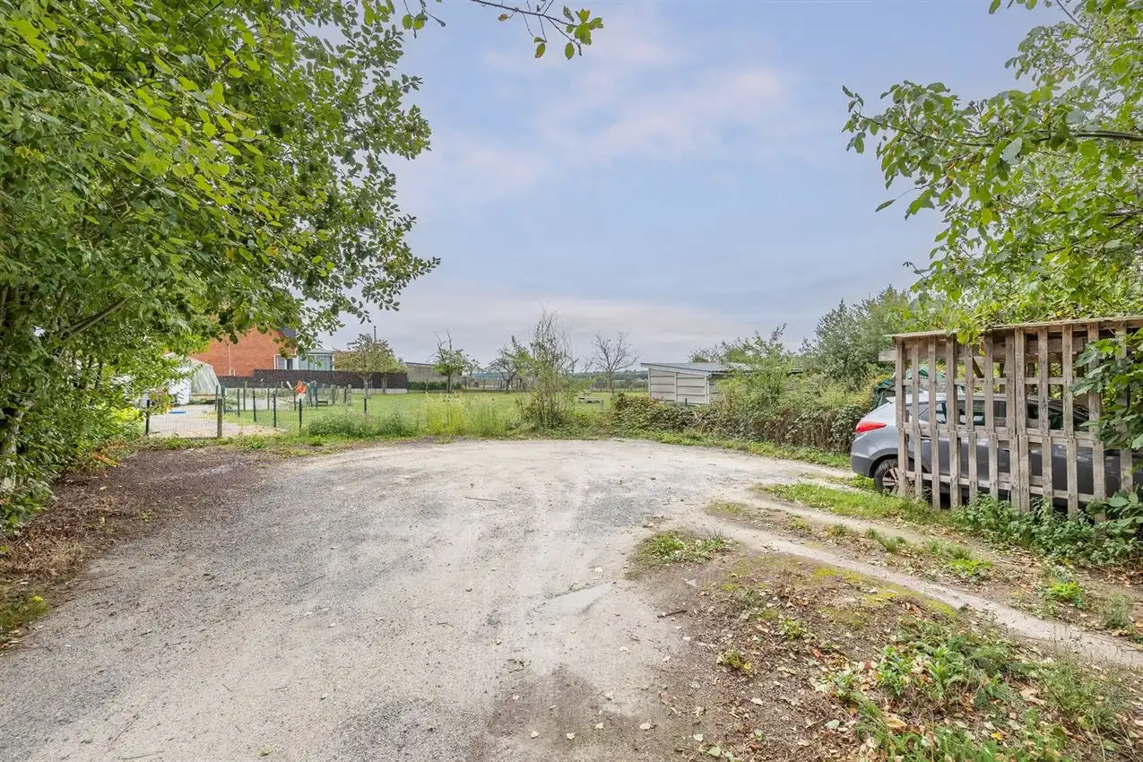 Handelswoonst met volledig uitgeruste frituur en appartement foto 4