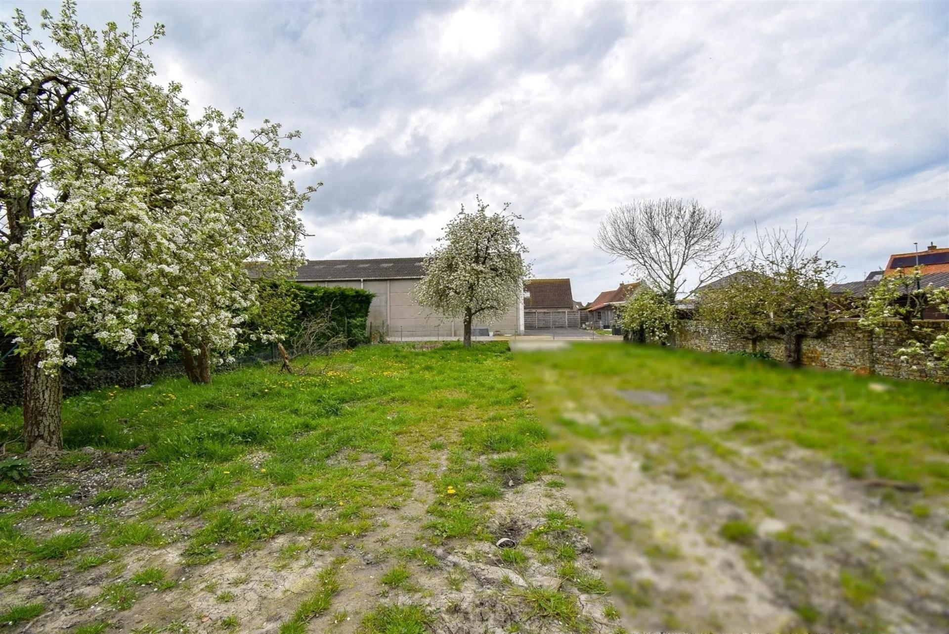 Huis foto 9