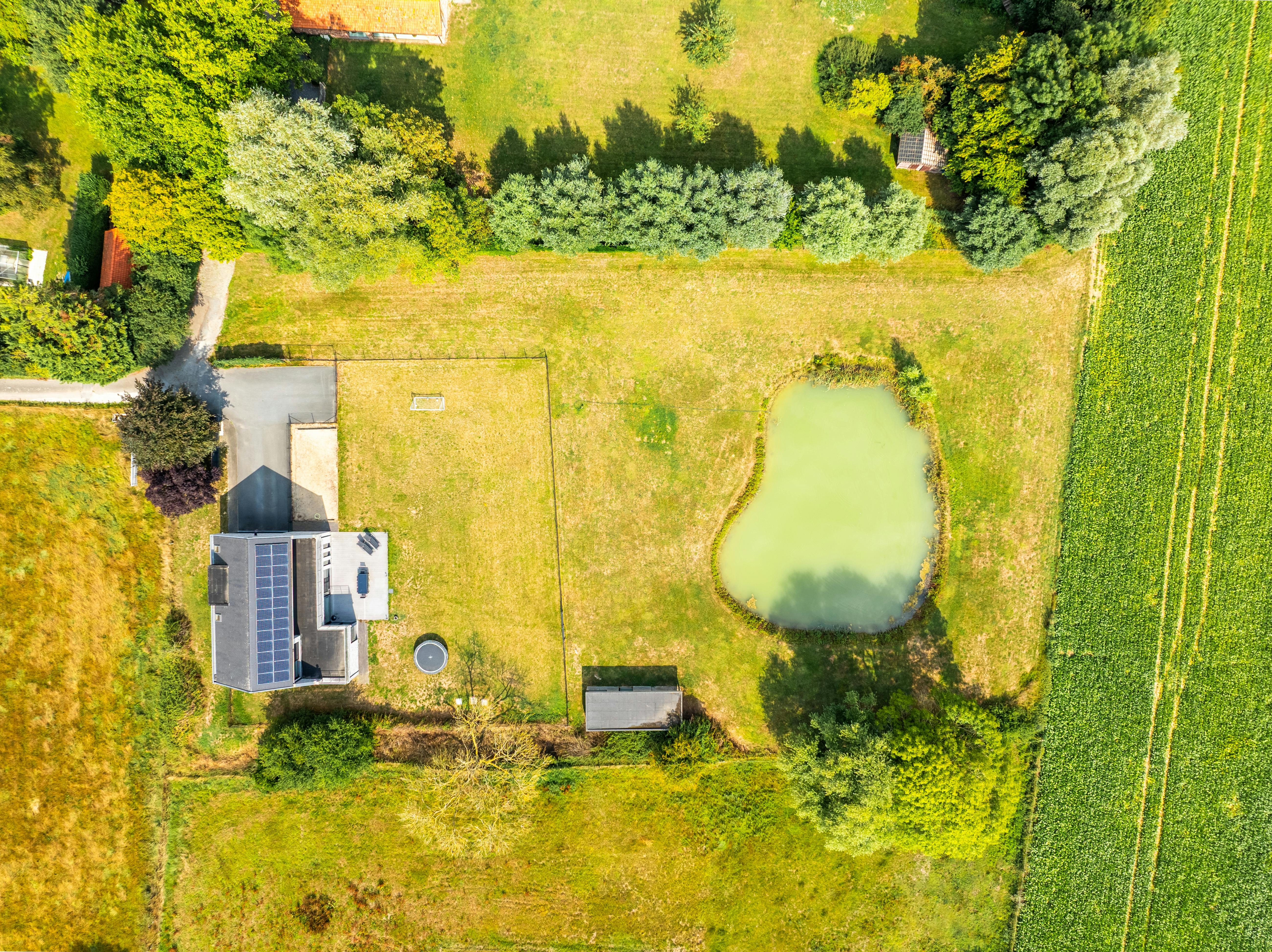 Landelijke nieuwbouwvilla te koop op 4.788m² in Heuvelland foto 37