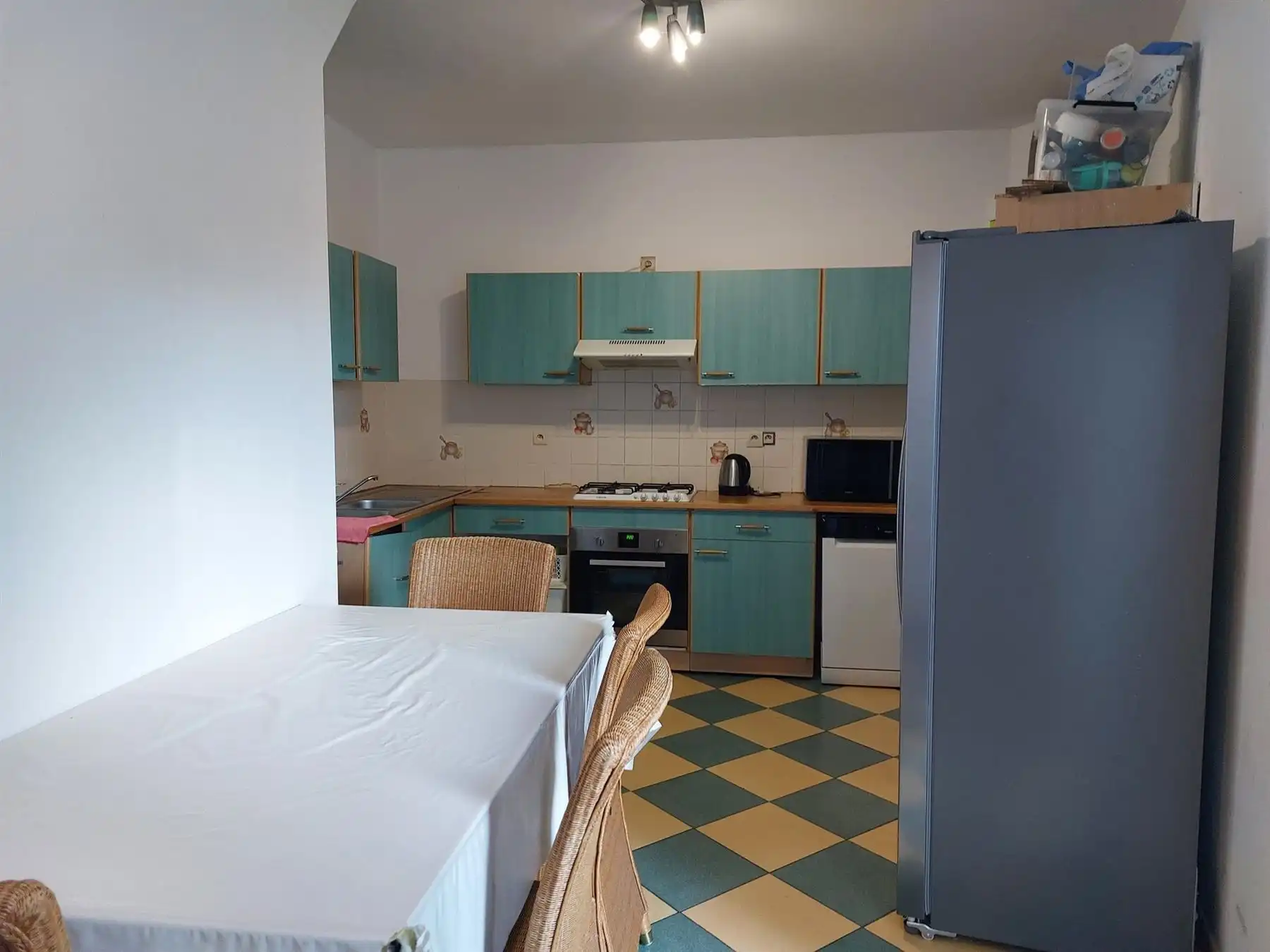 TE RENOVEREN RIJWONING MET KOER foto 3