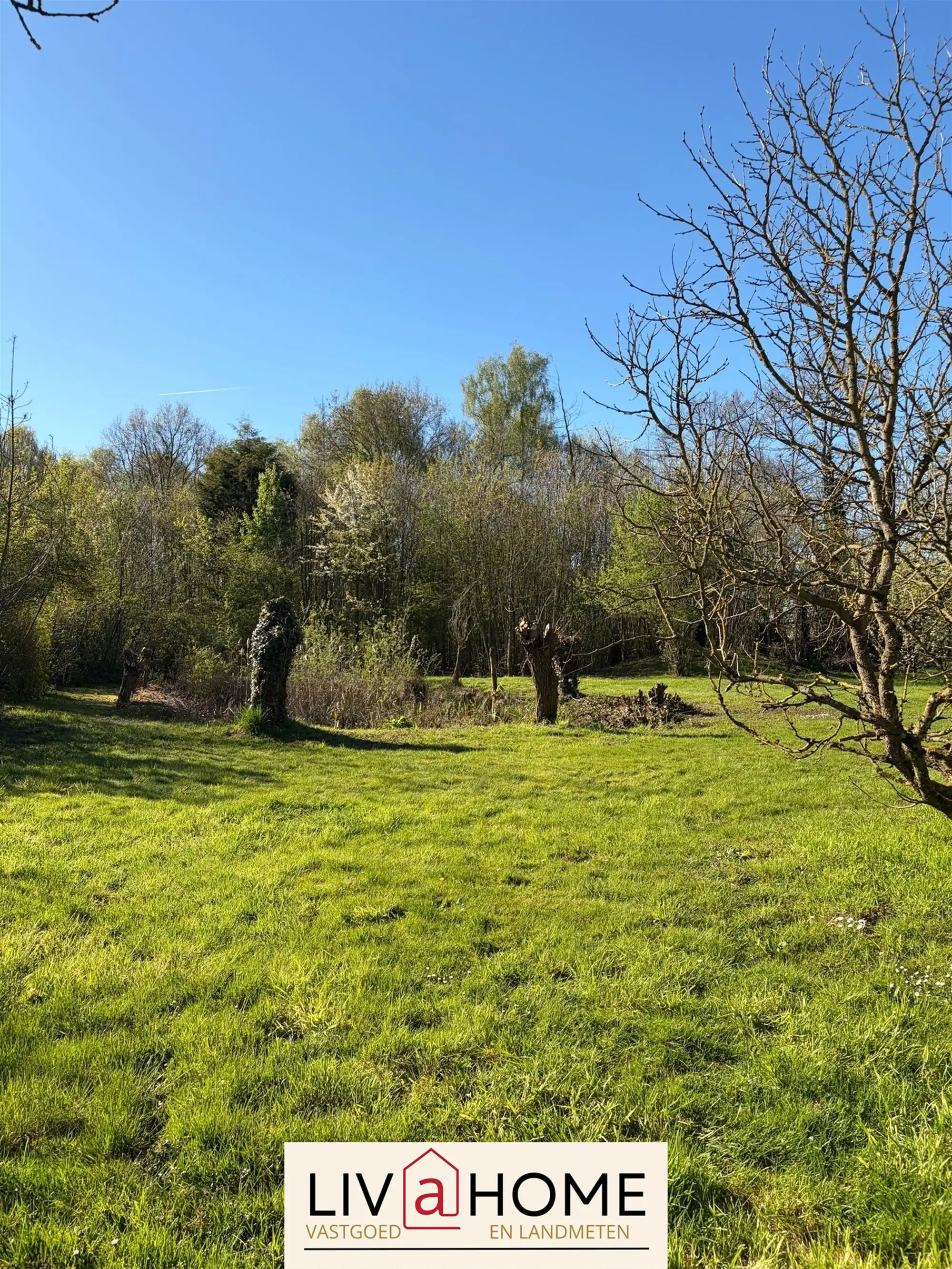 Landelijke woning foto 6