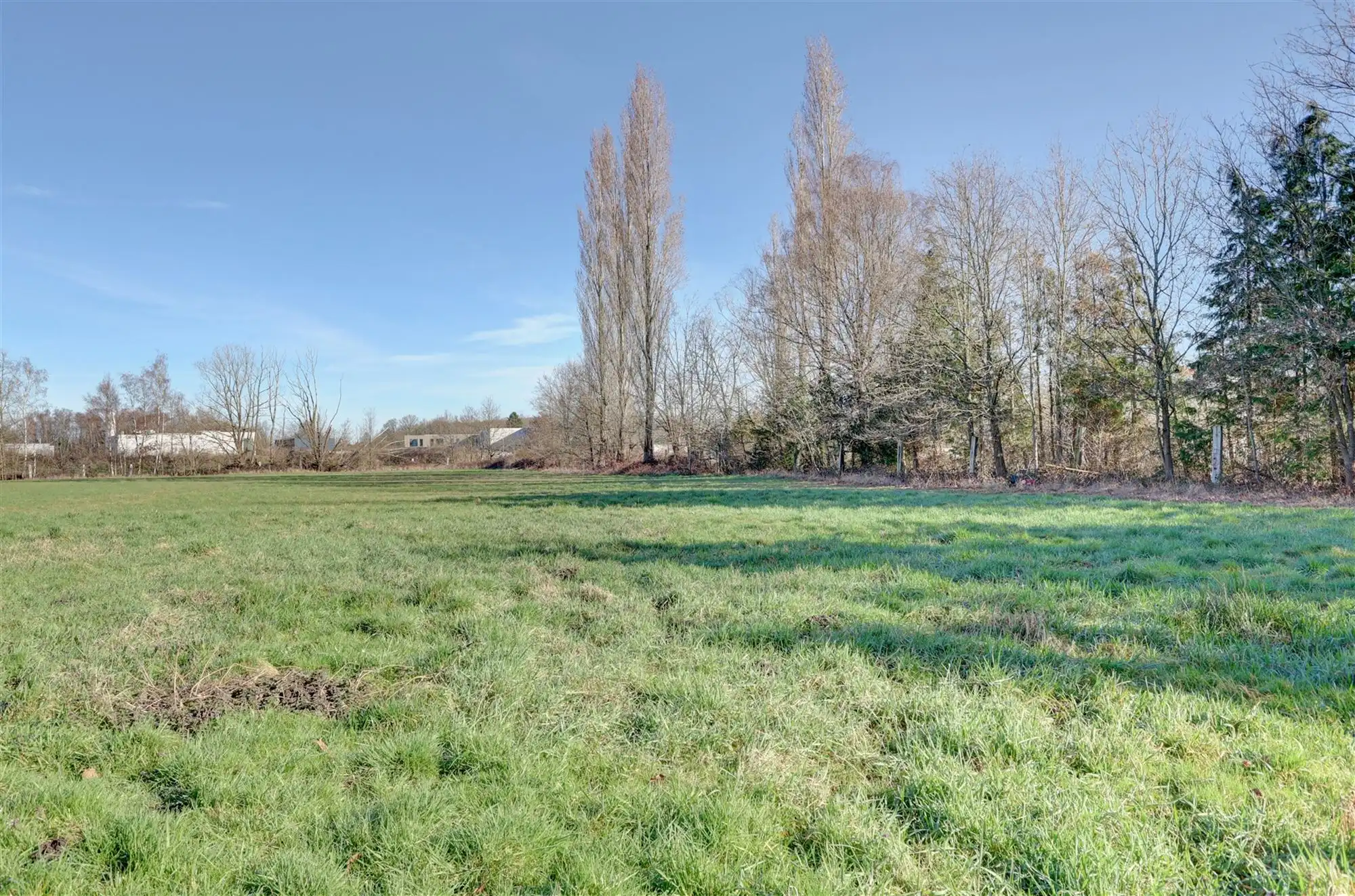 Idyllische paardenweide / bosgrond in Bonheiden foto 2