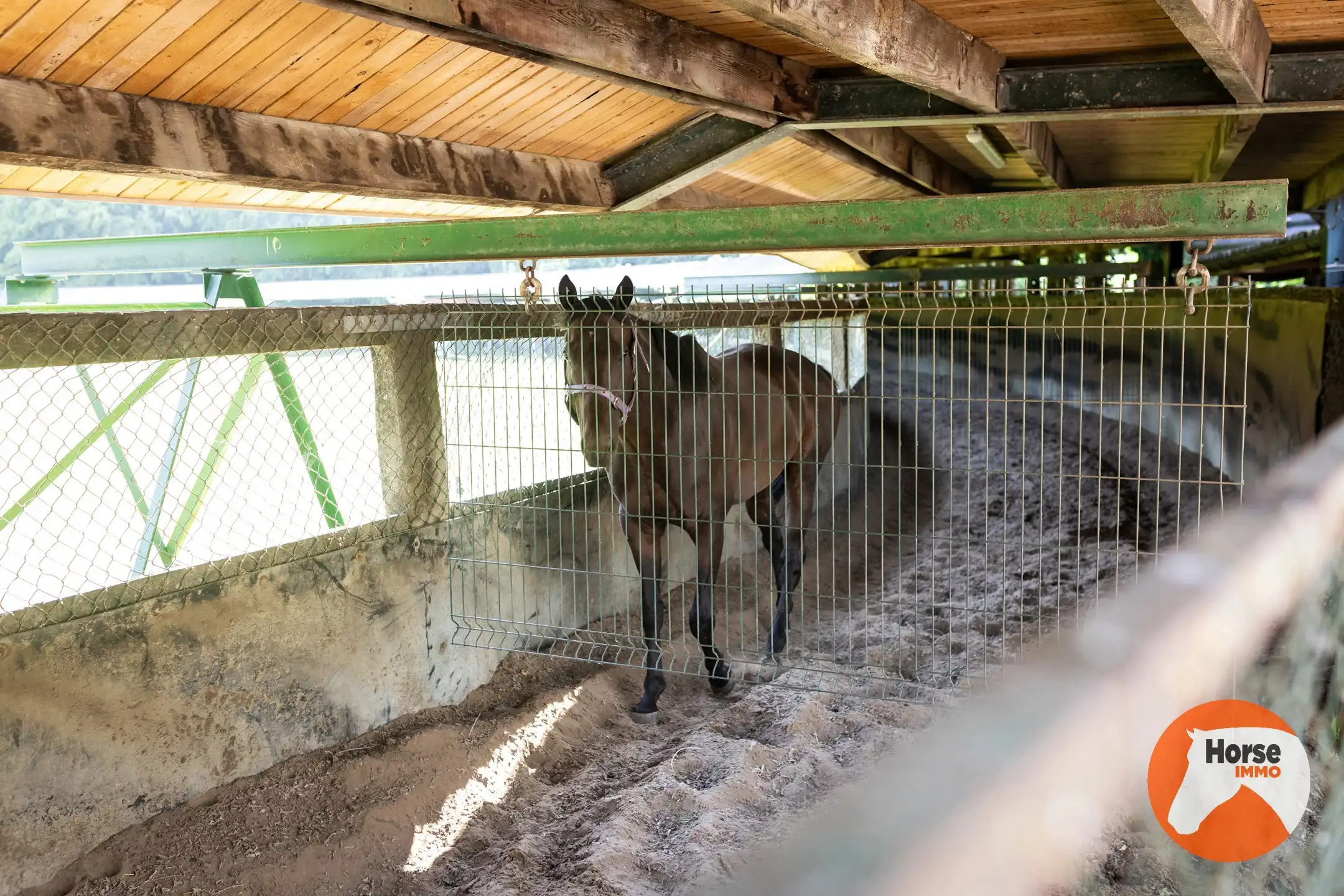 MERELBEKE -  Professioneel paardencomplex op 3,35HA foto 36
