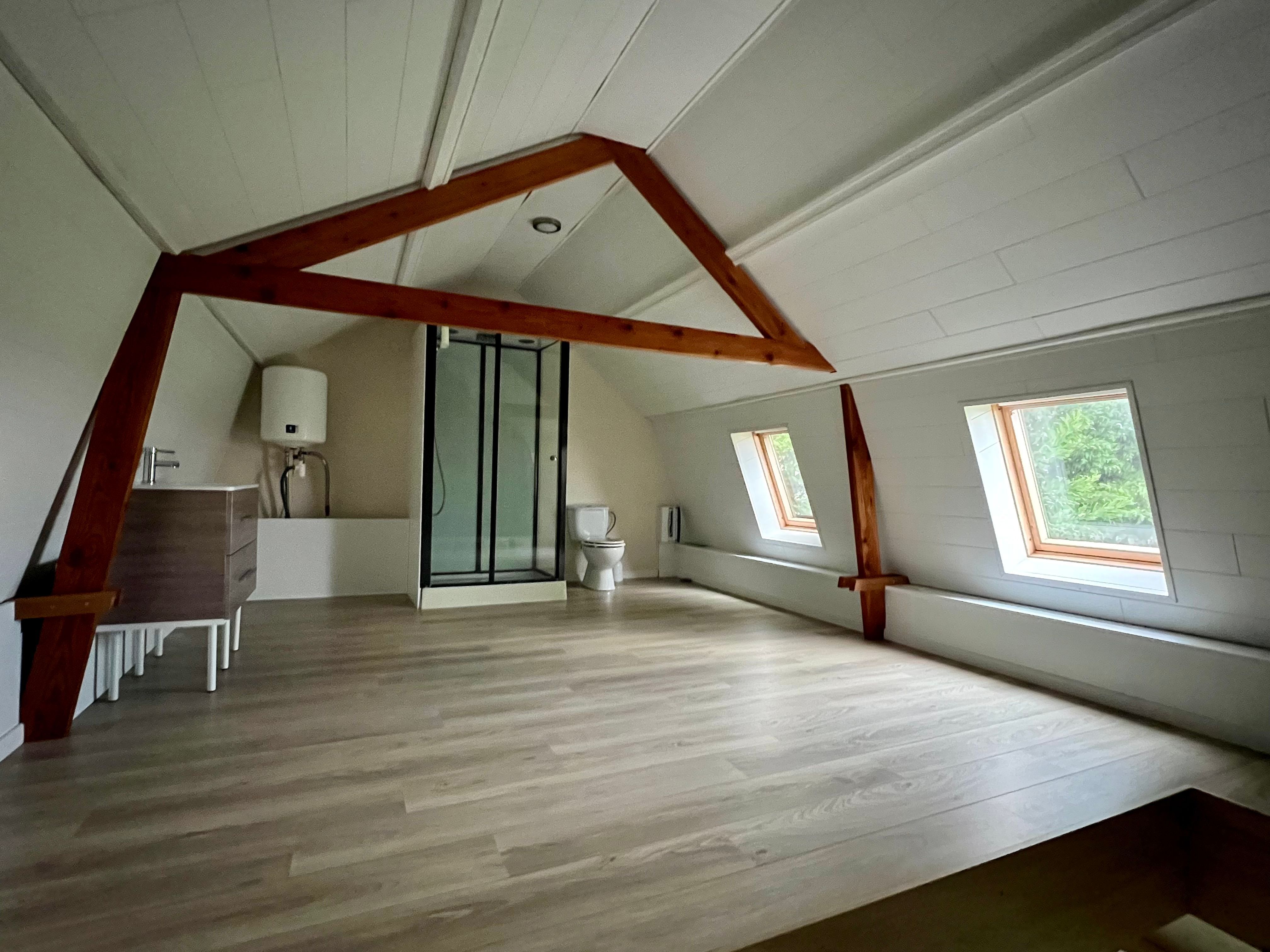 Te renoveren dijkwoning met fenomenaal zicht te Watervliet foto 6