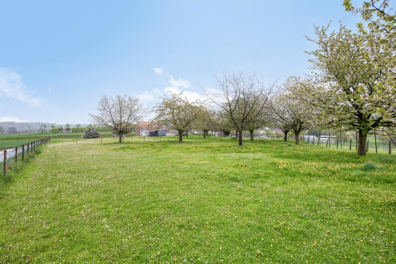 Heks: Woning op 50 are in het hart van Haspengouw, te midden van de natuur foto 29