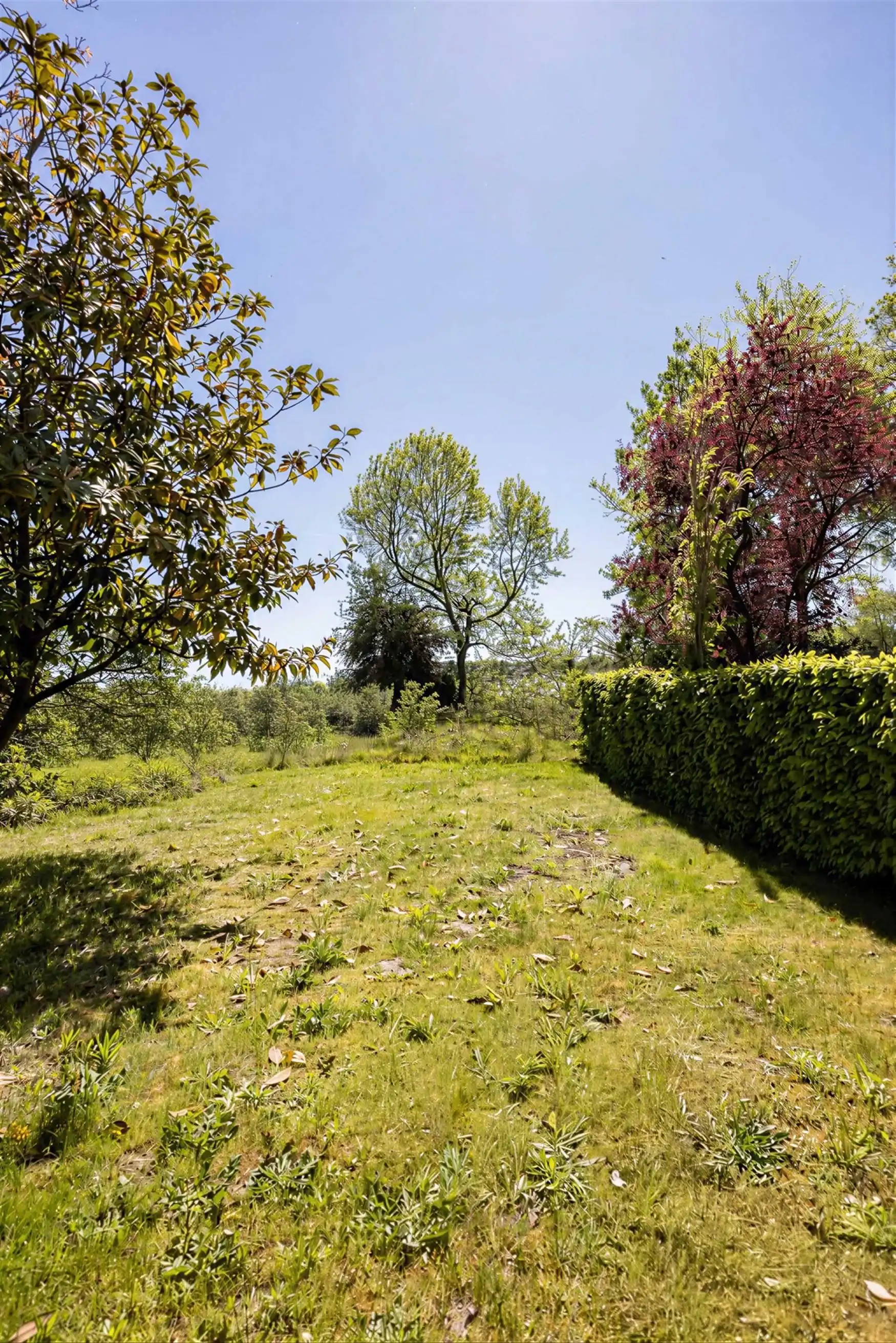 Ruime woning met zuidgerichte tuin en open zicht. foto 18