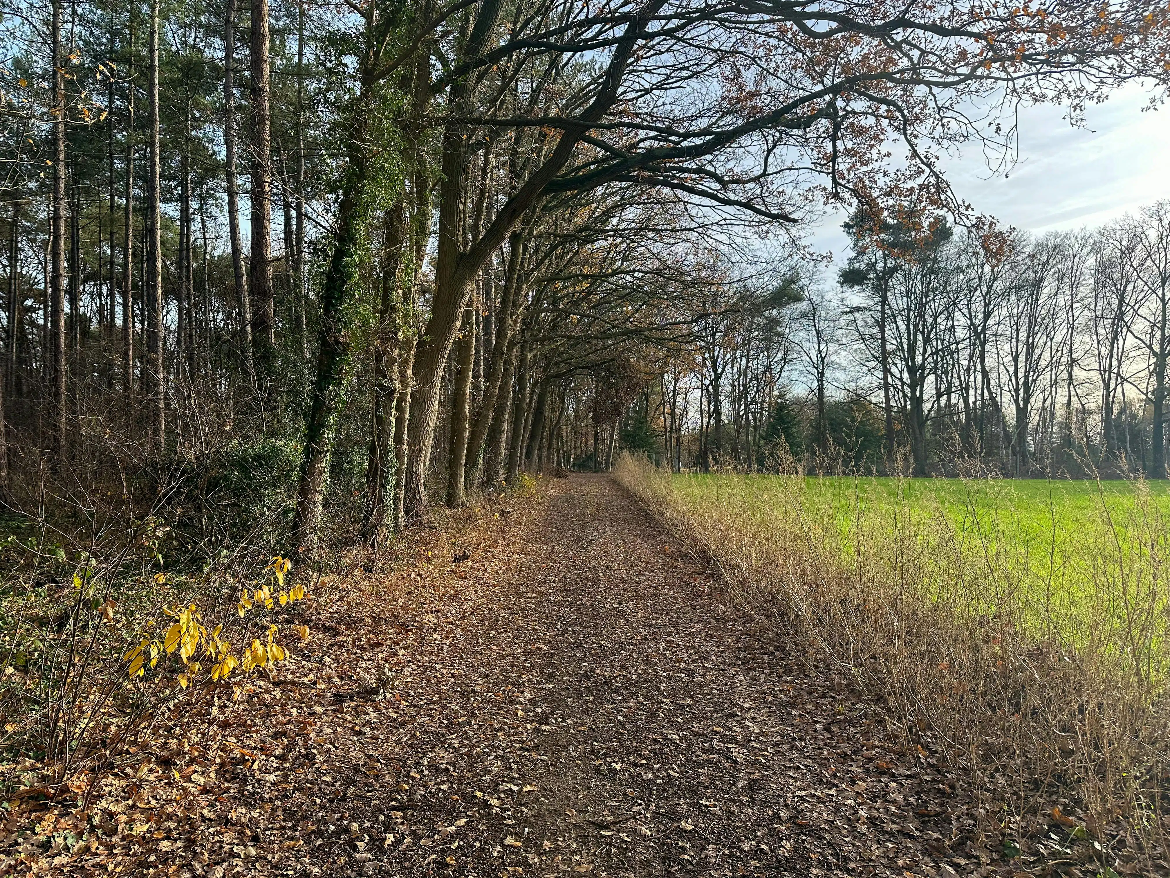 Residentieel bouwperceel voor een vrijstaande woning foto 9