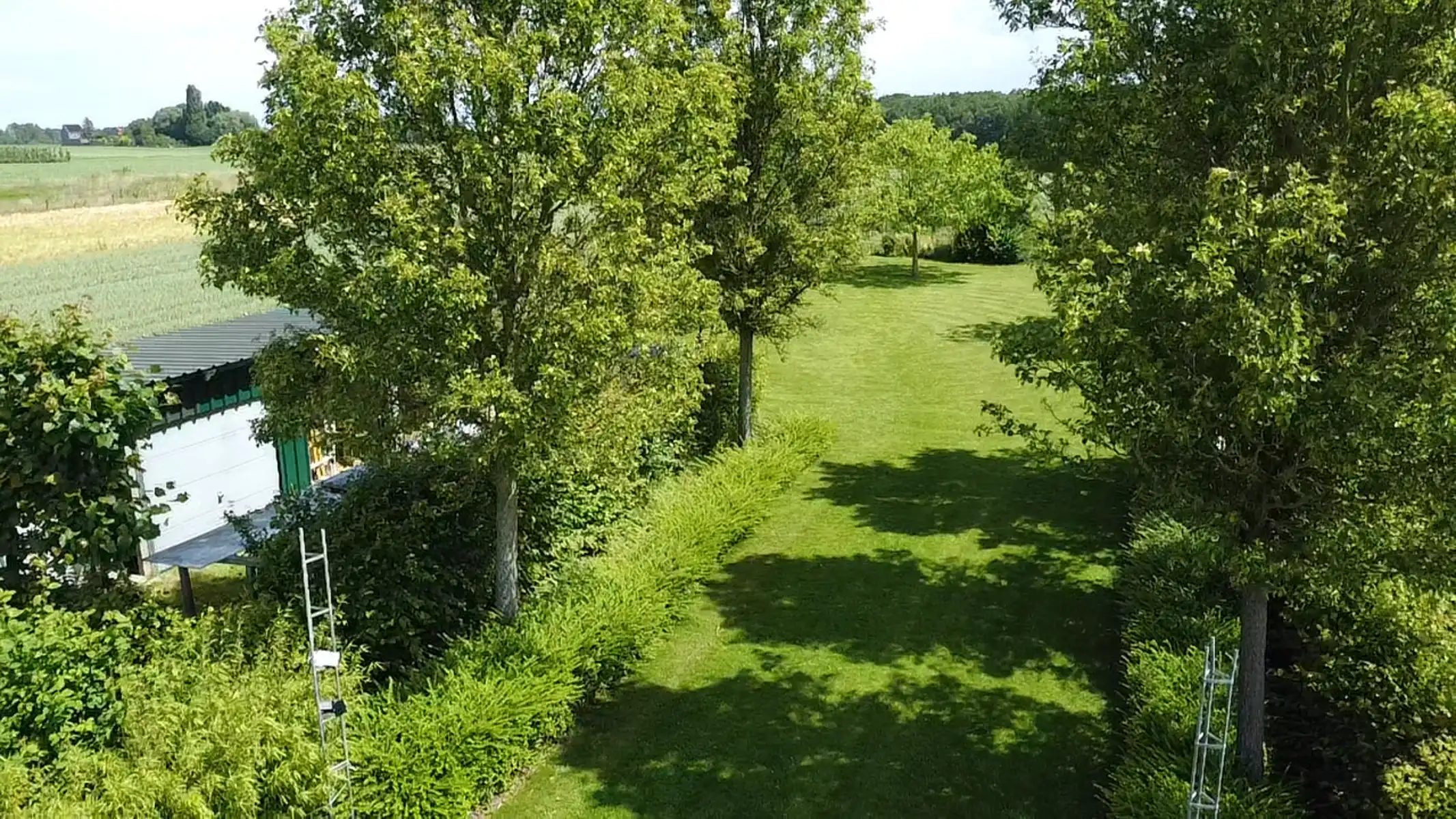 OB op een toplocatie met mooie tuin en 4 slaapkamers foto 22