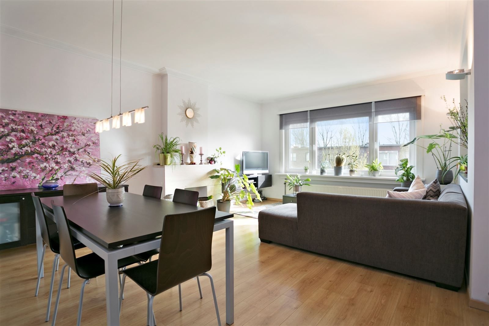 Hoboken:gezellig, gemeubeld 2 slaapkamer appartement  foto {{pictureIndex}}