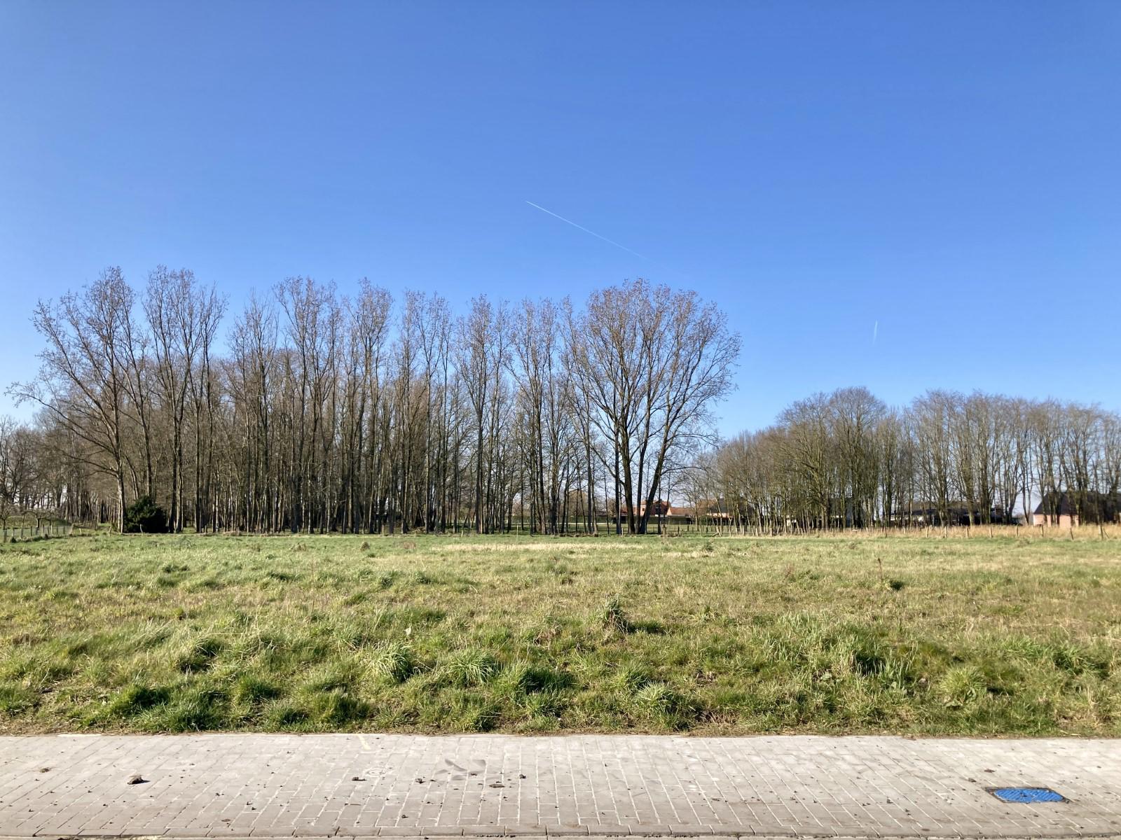 Grond te koop foto {{pictureIndex}}