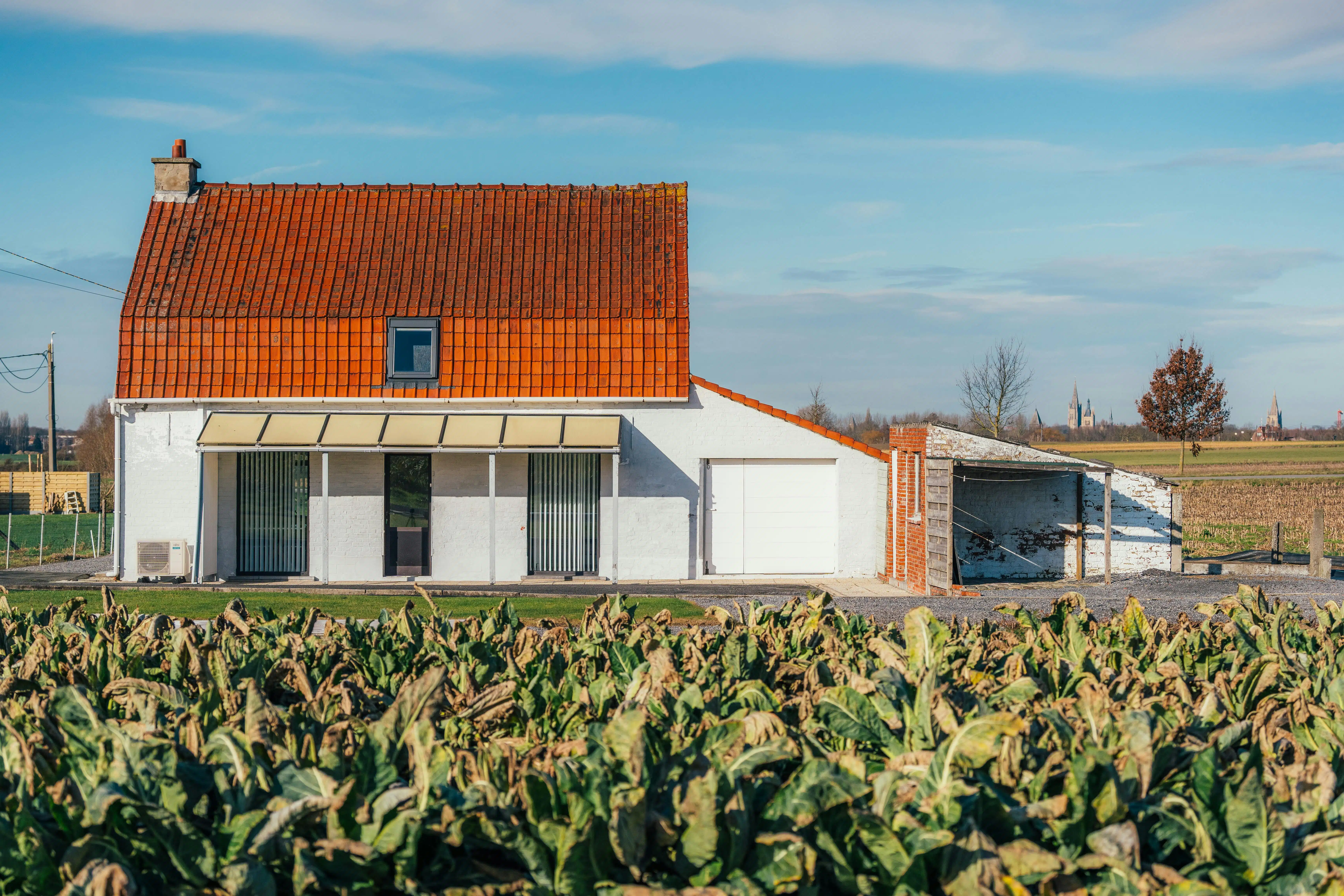 Huis op 1.007 m² te koop in Zillebeke  foto 4