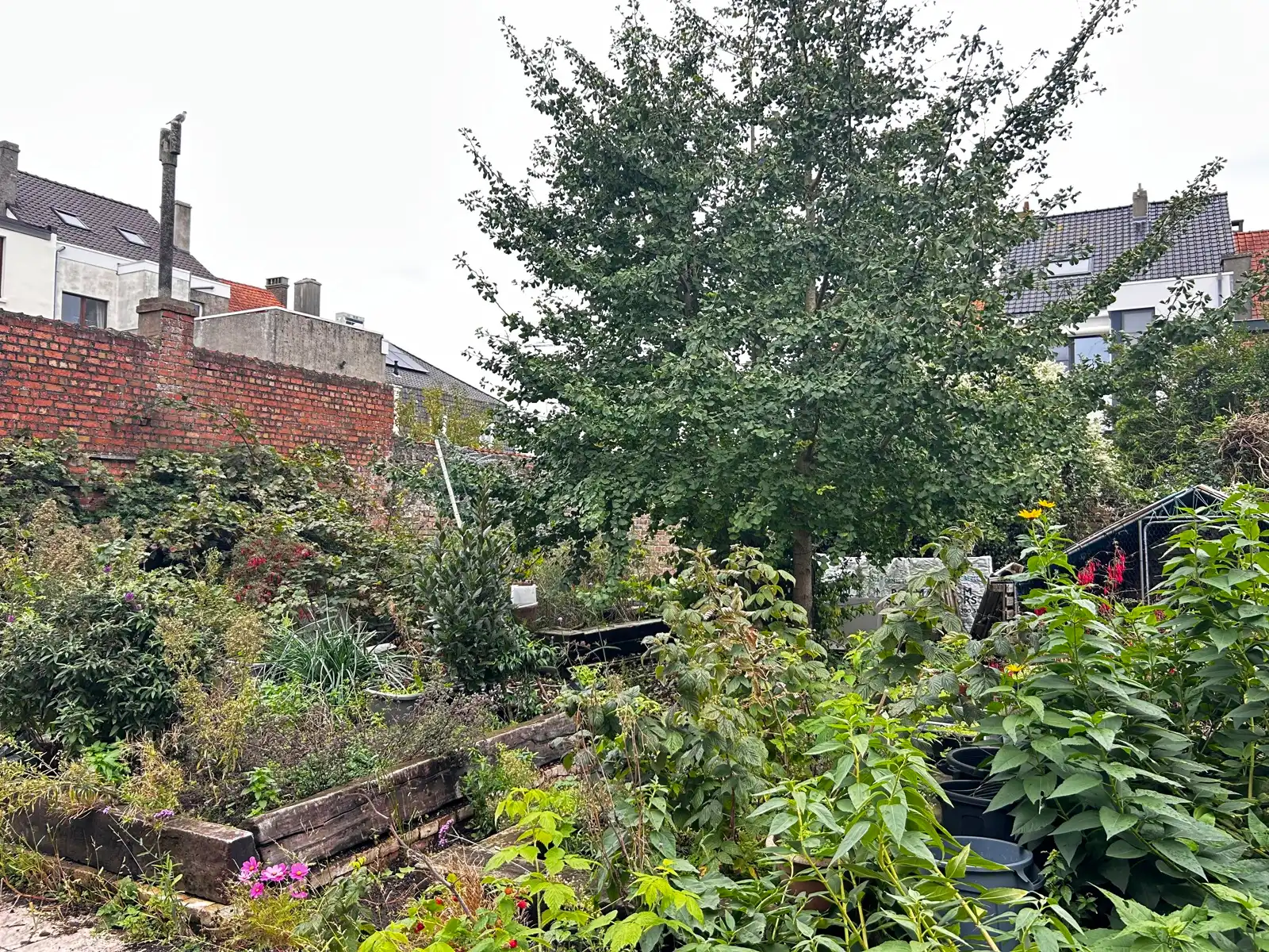Huis met 3 slpk, zonnepanelen, garage en tuin! foto 5
