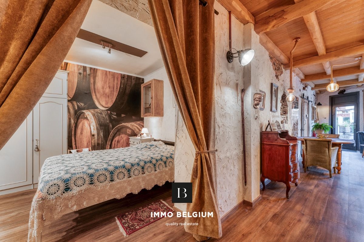 Gerenoveerde eigendom in de Concessie foto 8