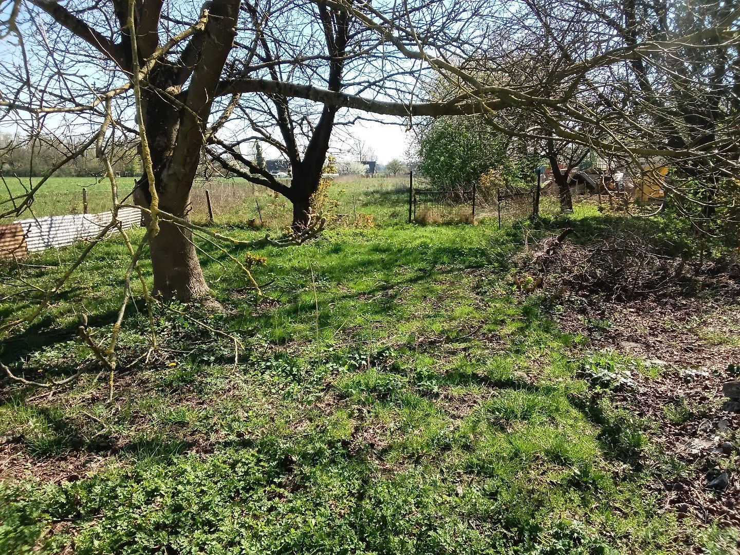 Te koop: landelijk gelegen hoeve foto 12
