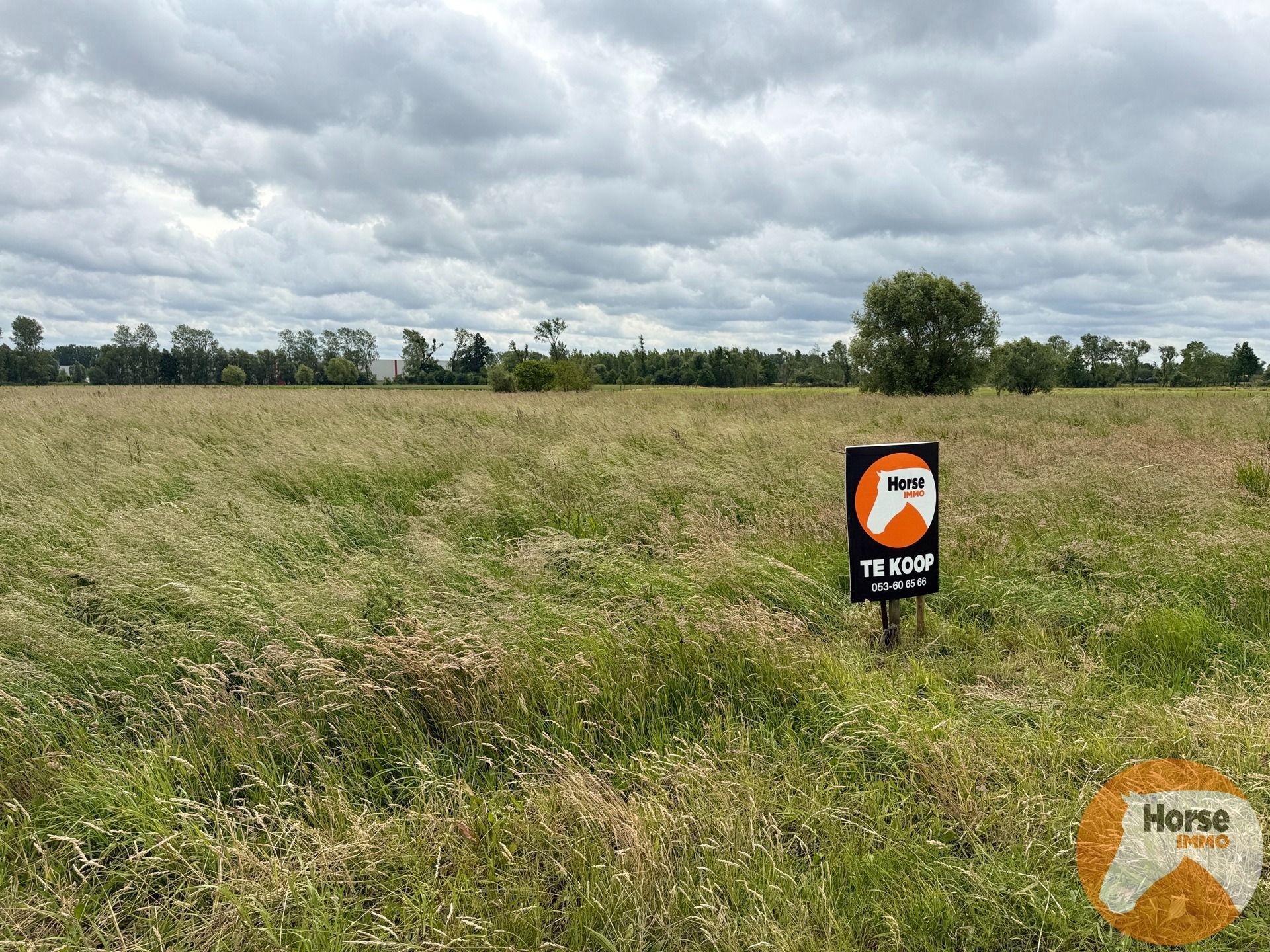 KAPELLE OP DEN BOS - Landbouwgrond/weide op +-2ha foto 3