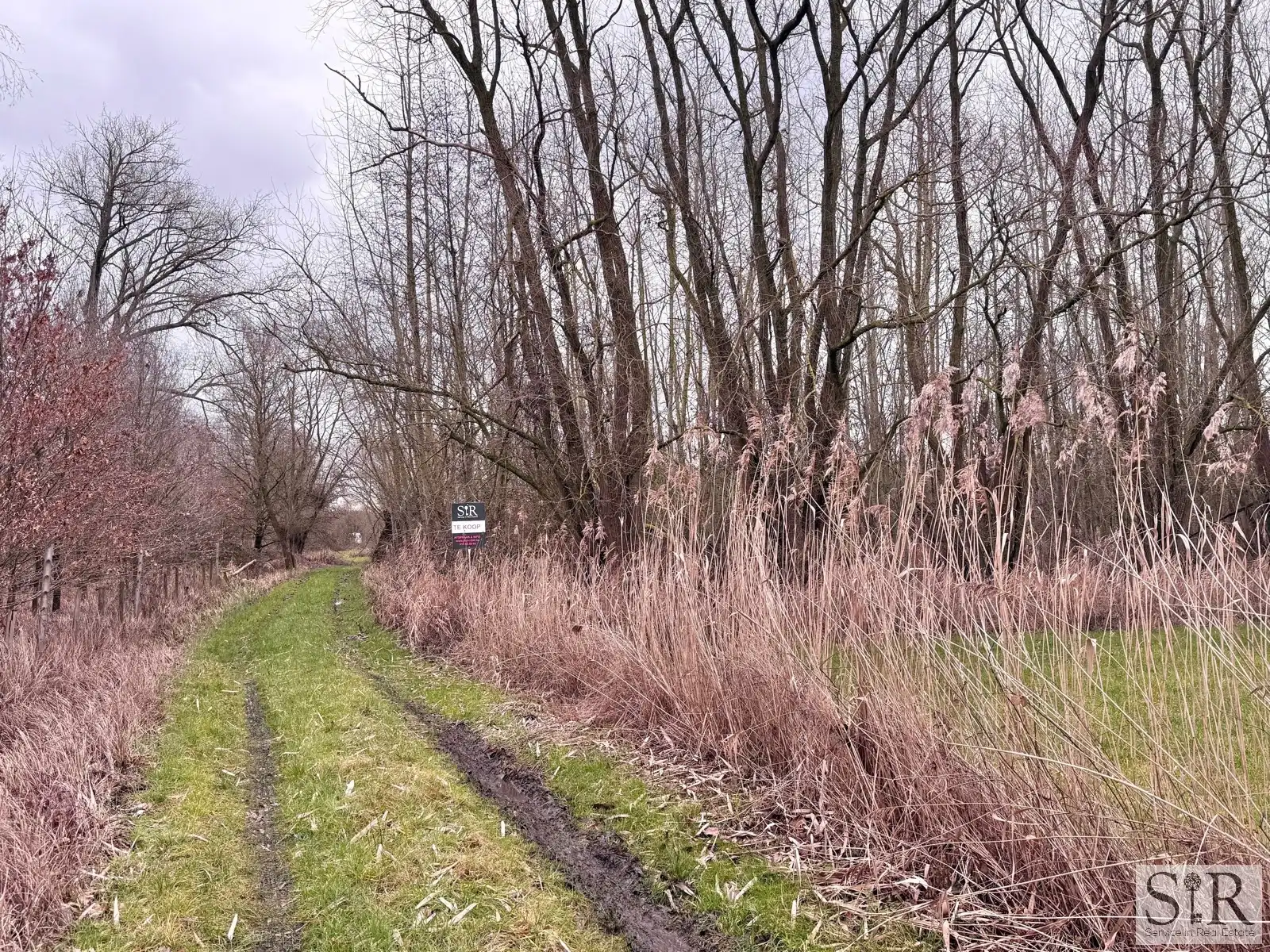 Grond te koop foto 5