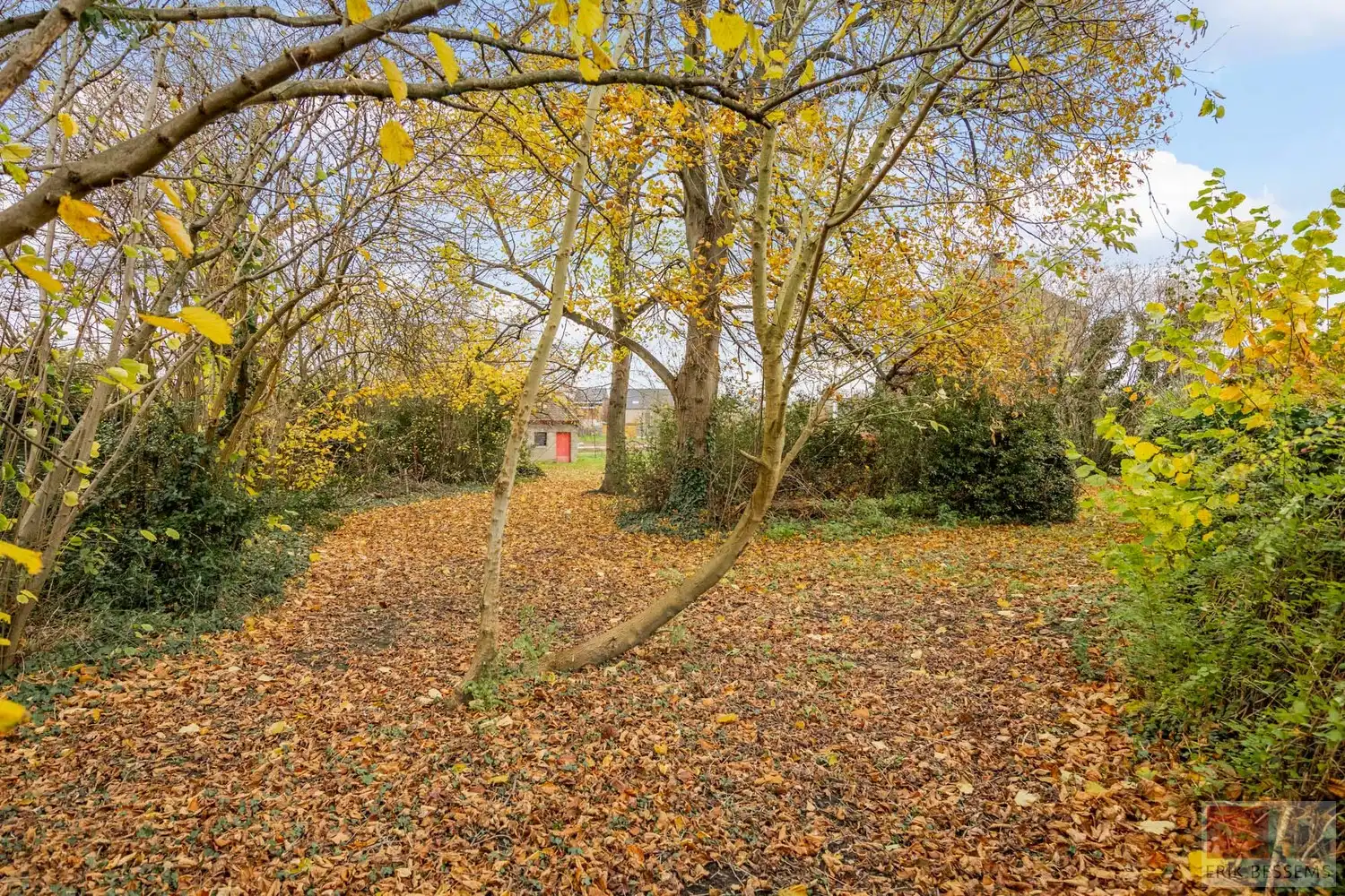 Huis te koop foto 42